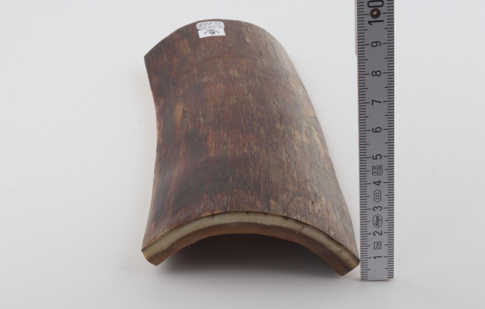 Brown mammoth bark