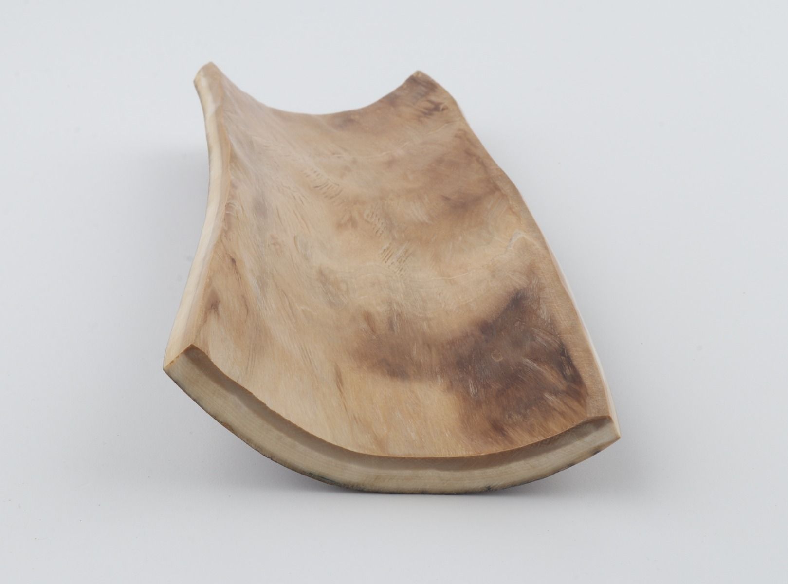 Brown mammoth bark