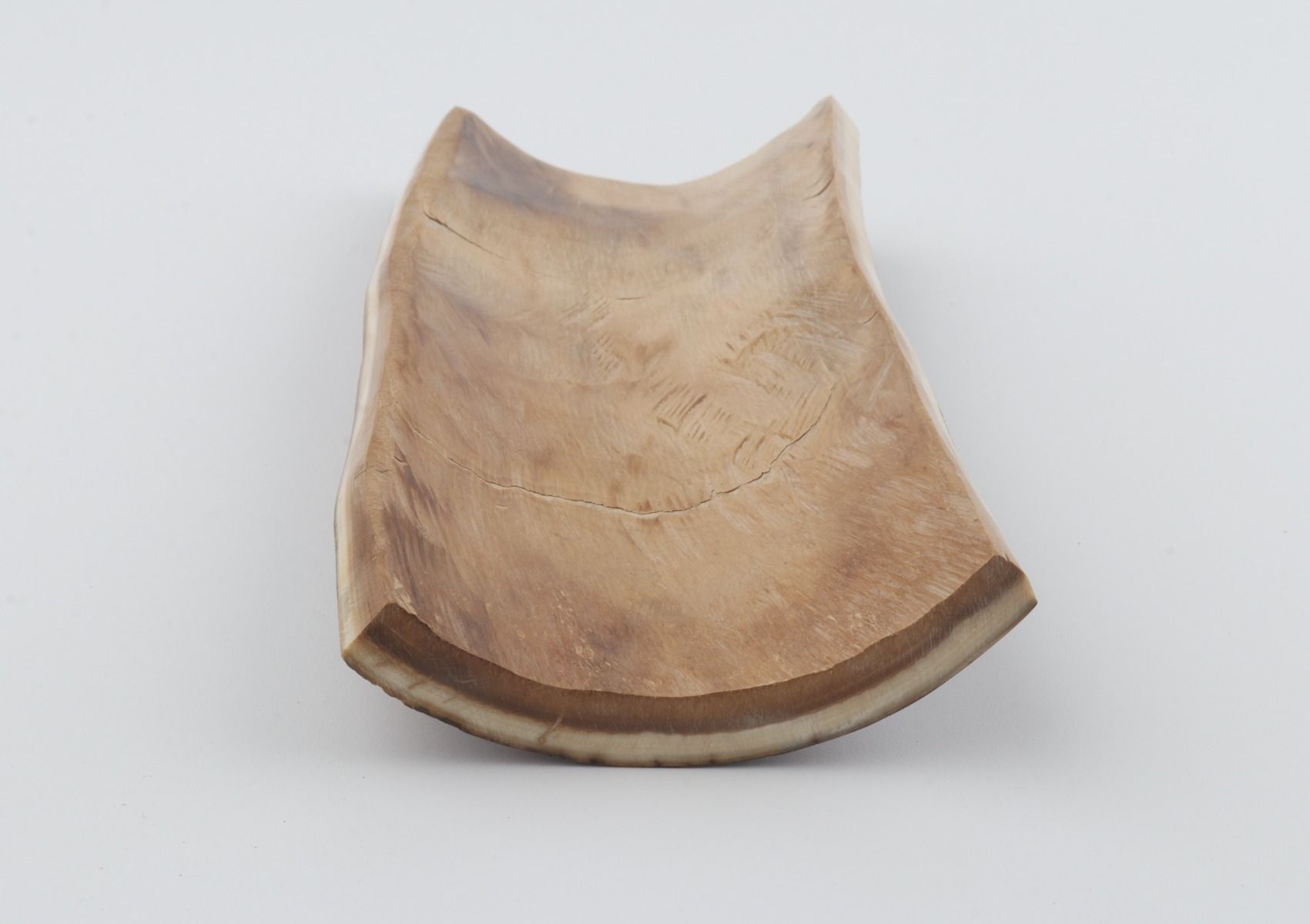Brown mammoth bark