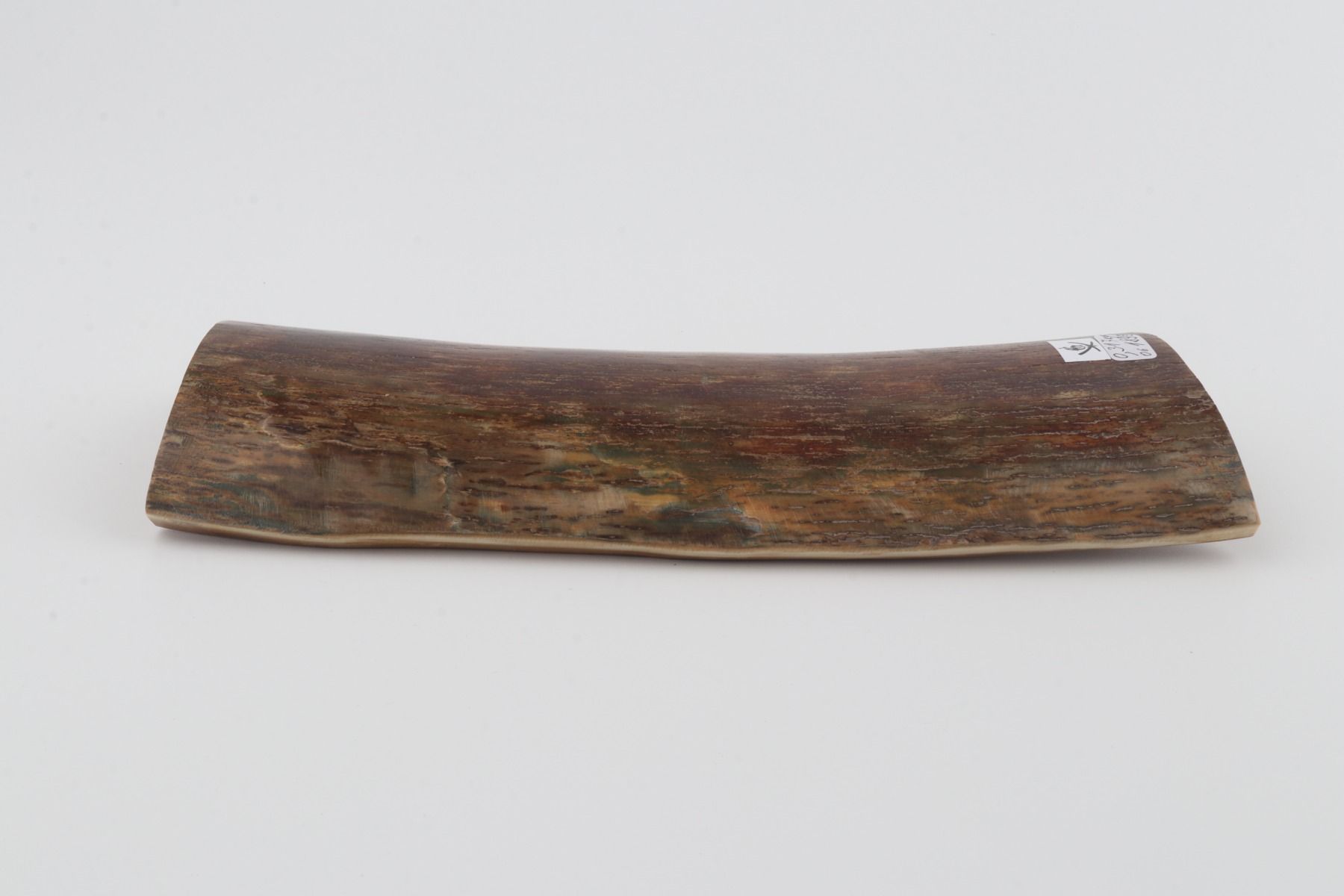 Brown mammoth bark