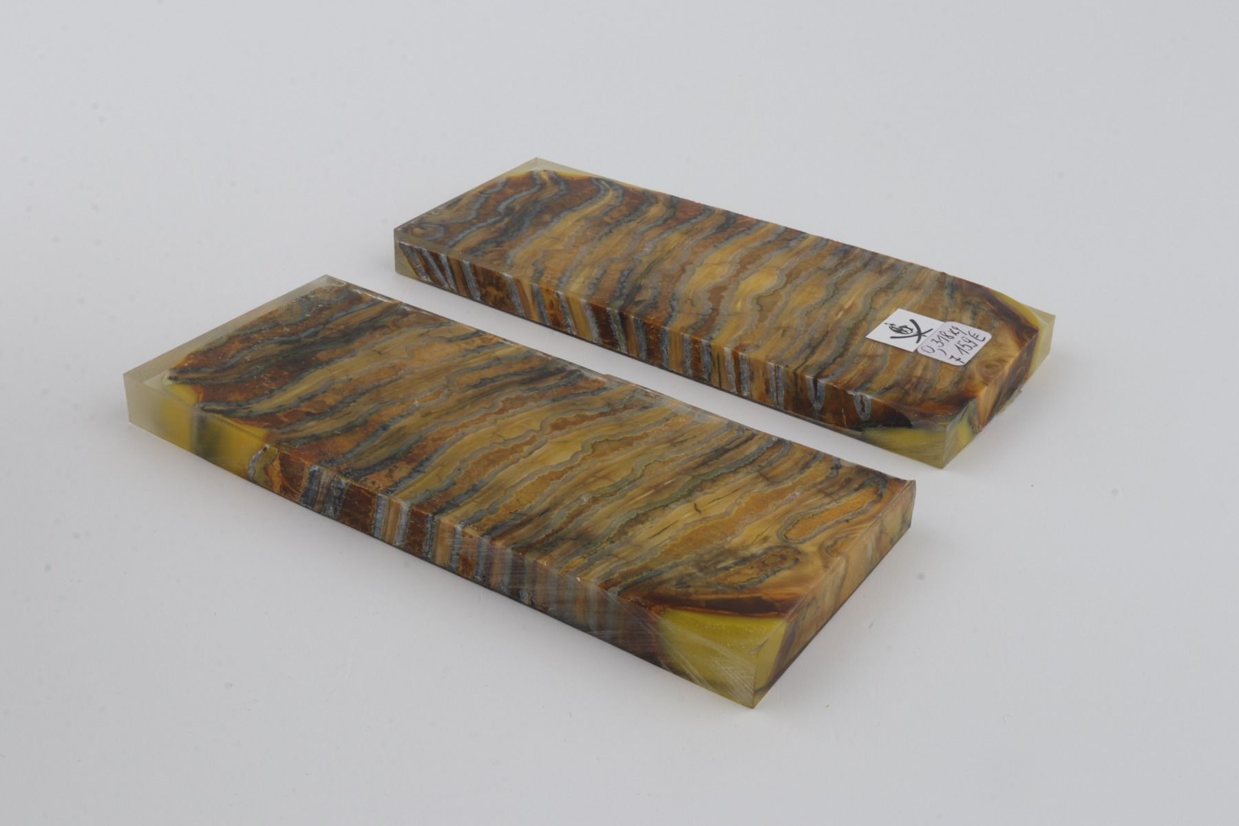 Stabilised mammoth molar scales