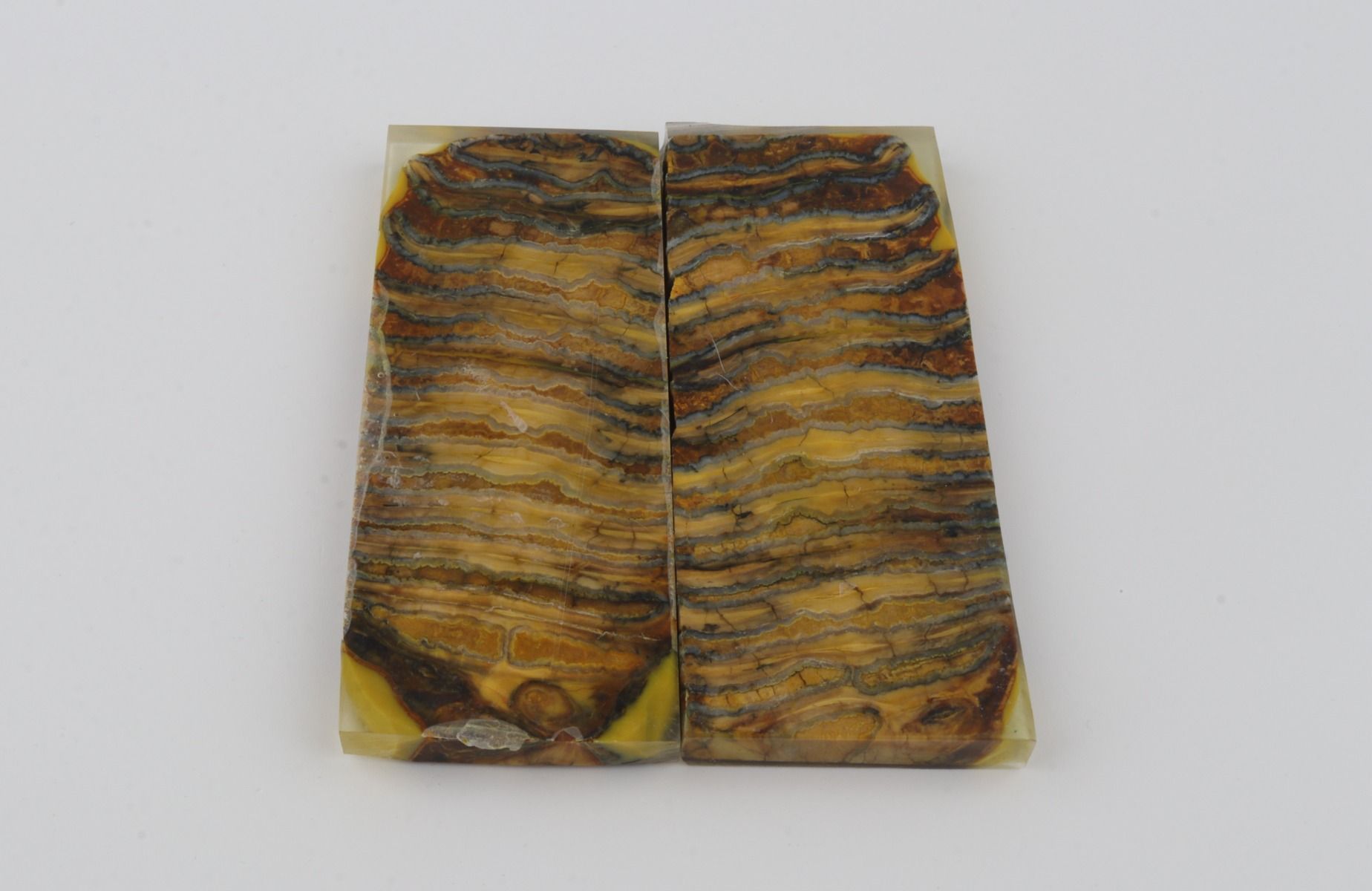 Stabilised mammoth molar scales