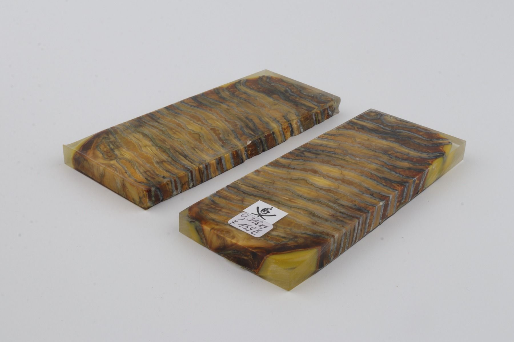 Stabilised mammoth molar scales