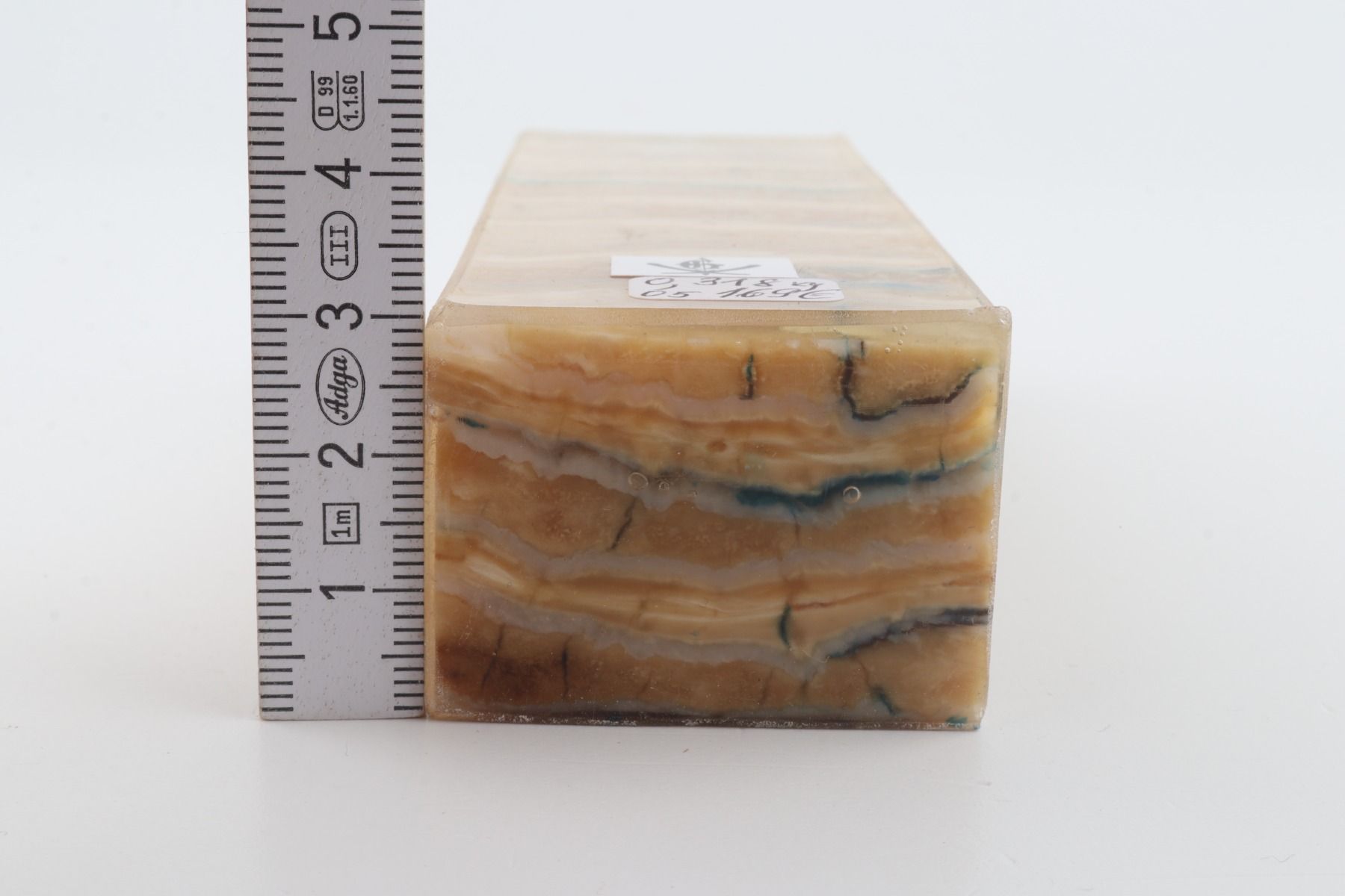 Stabilised mammoth molar block