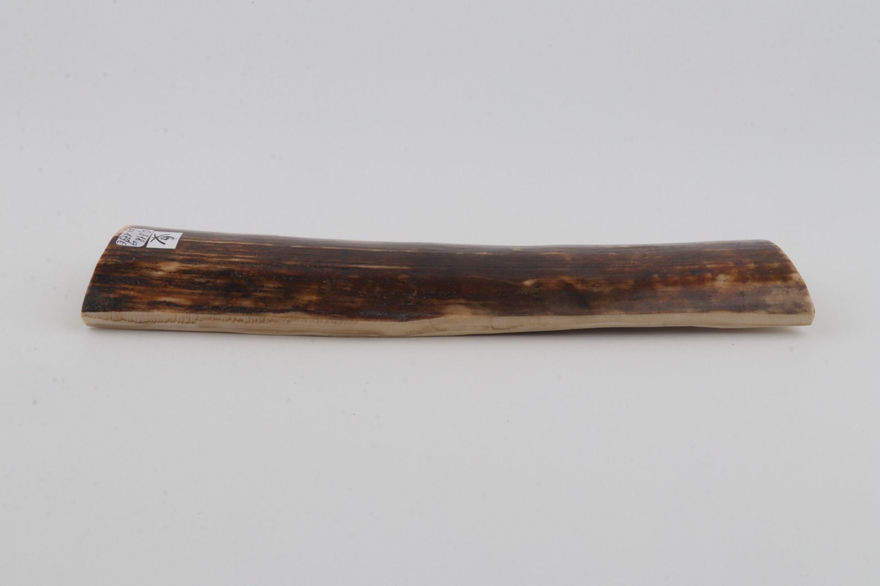 Brown mammoth bark