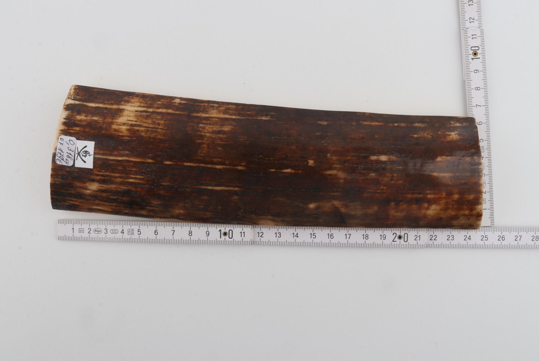 Brown mammoth bark