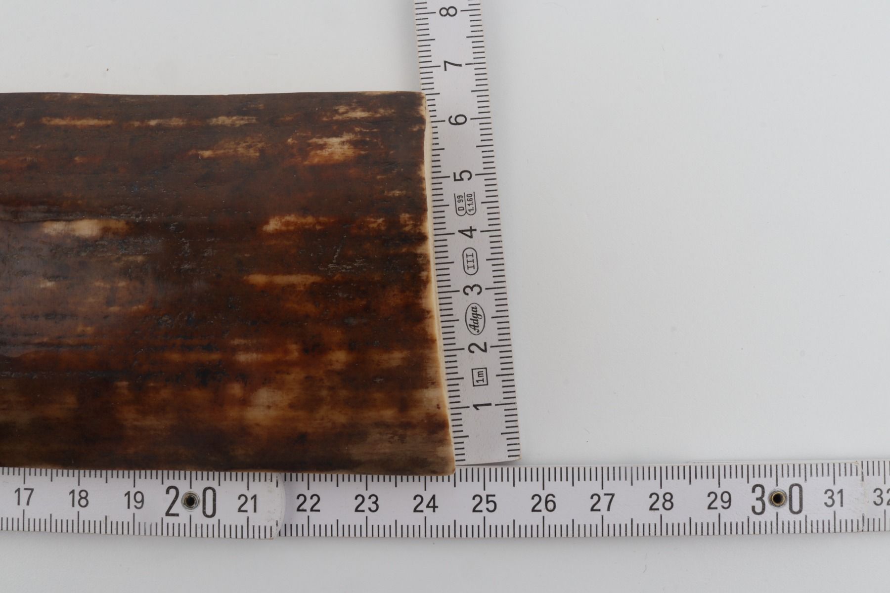 Brown mammoth bark