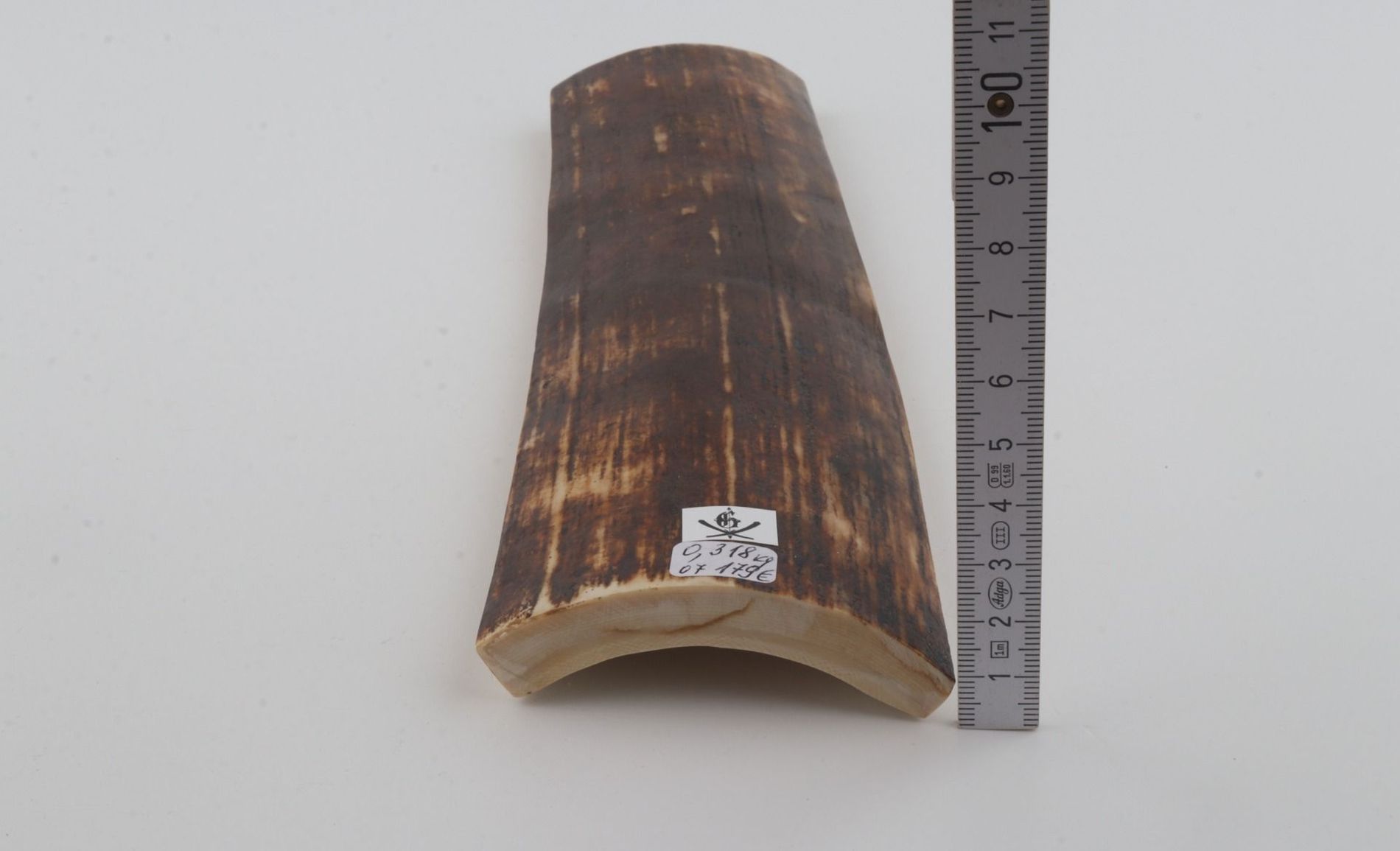 Brown mammoth bark