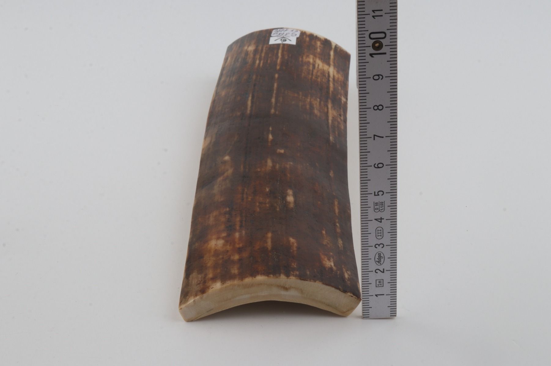 Brown mammoth bark