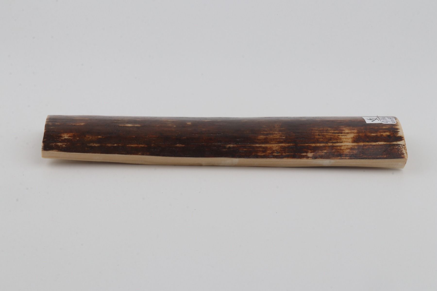 Brown mammoth bark
