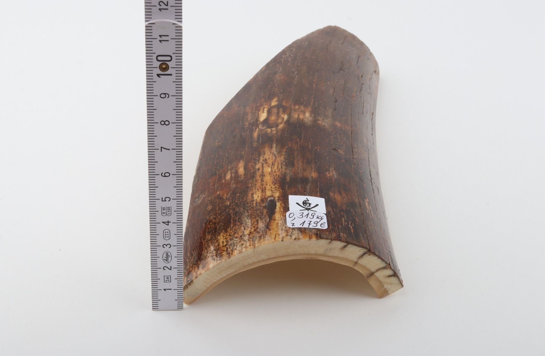 Brown mammoth bark