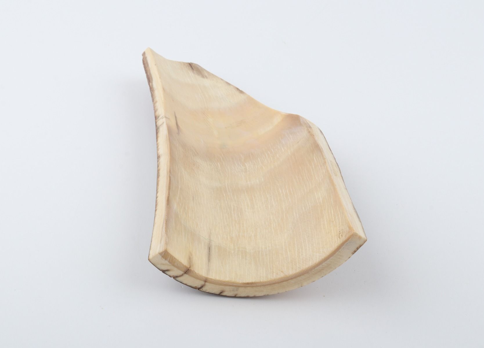 Brown mammoth bark