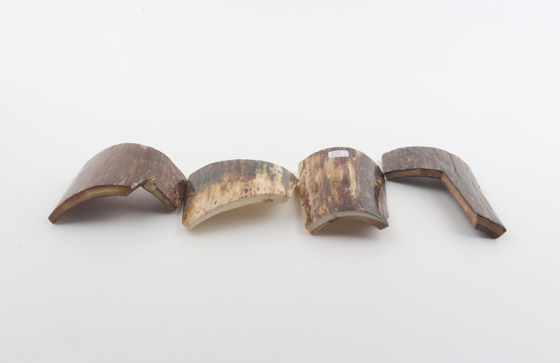 Natural mammoth bark pieces