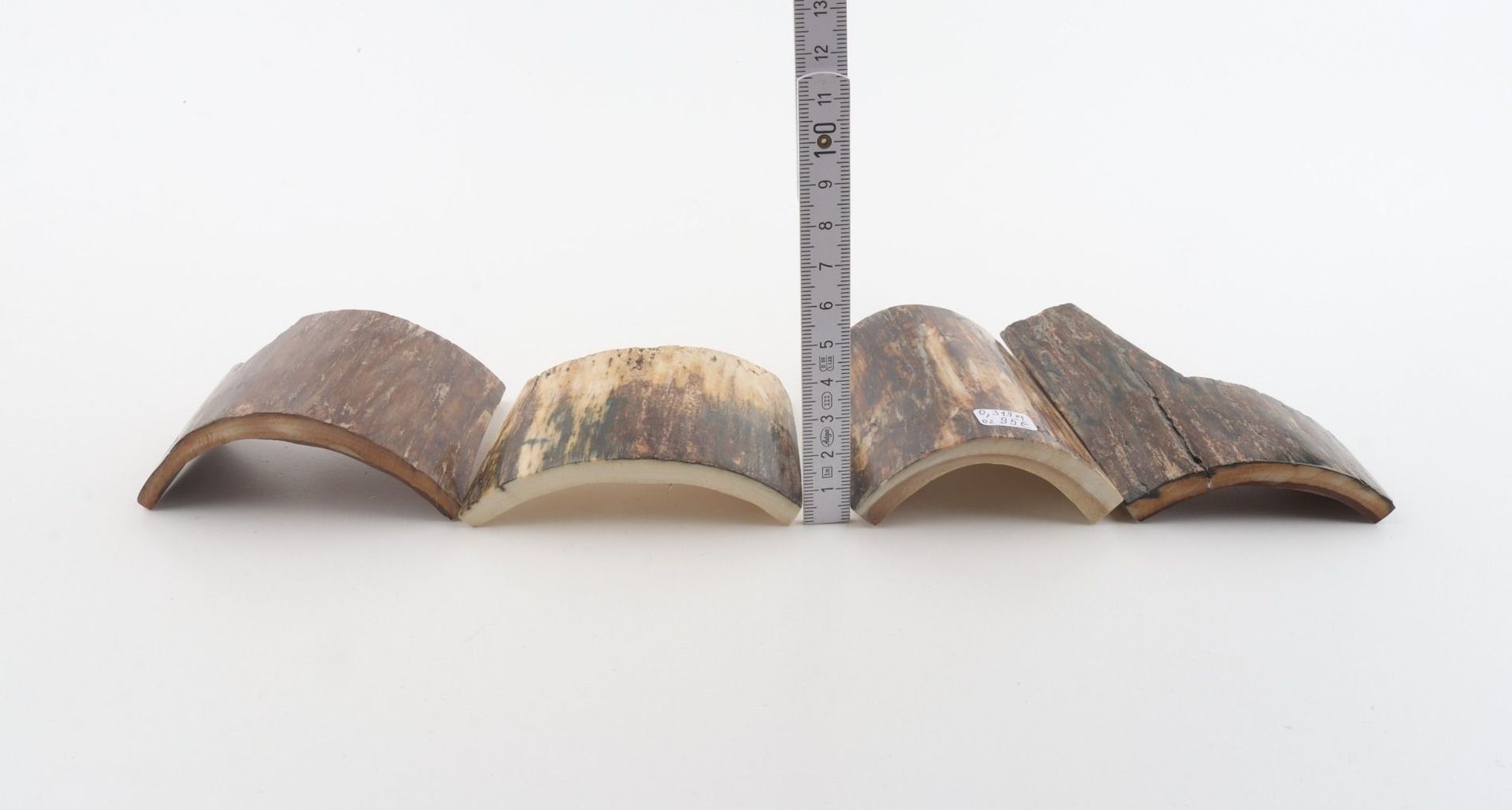 Natural mammoth bark pieces