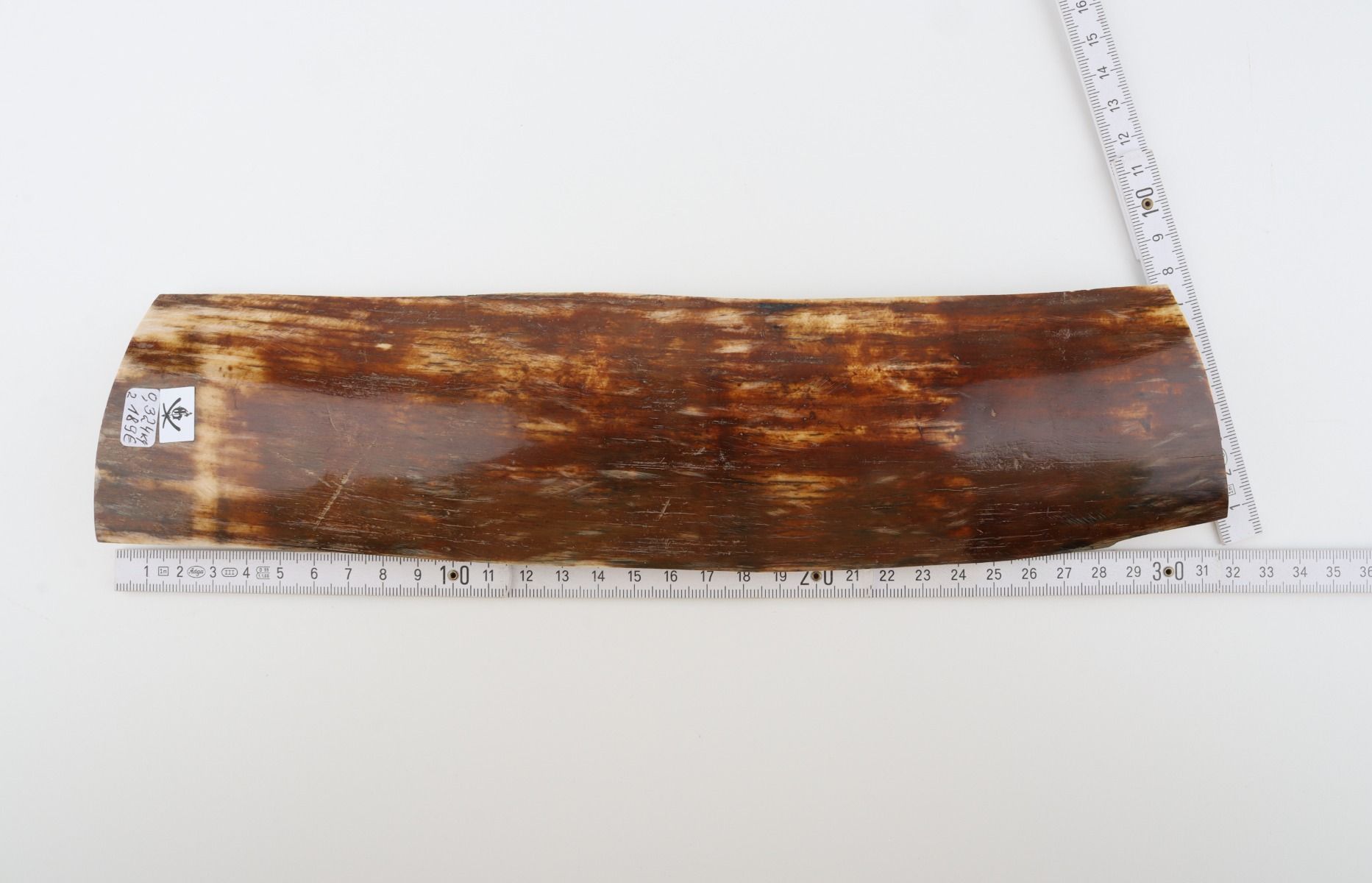 Orange-brown mammoth bark
