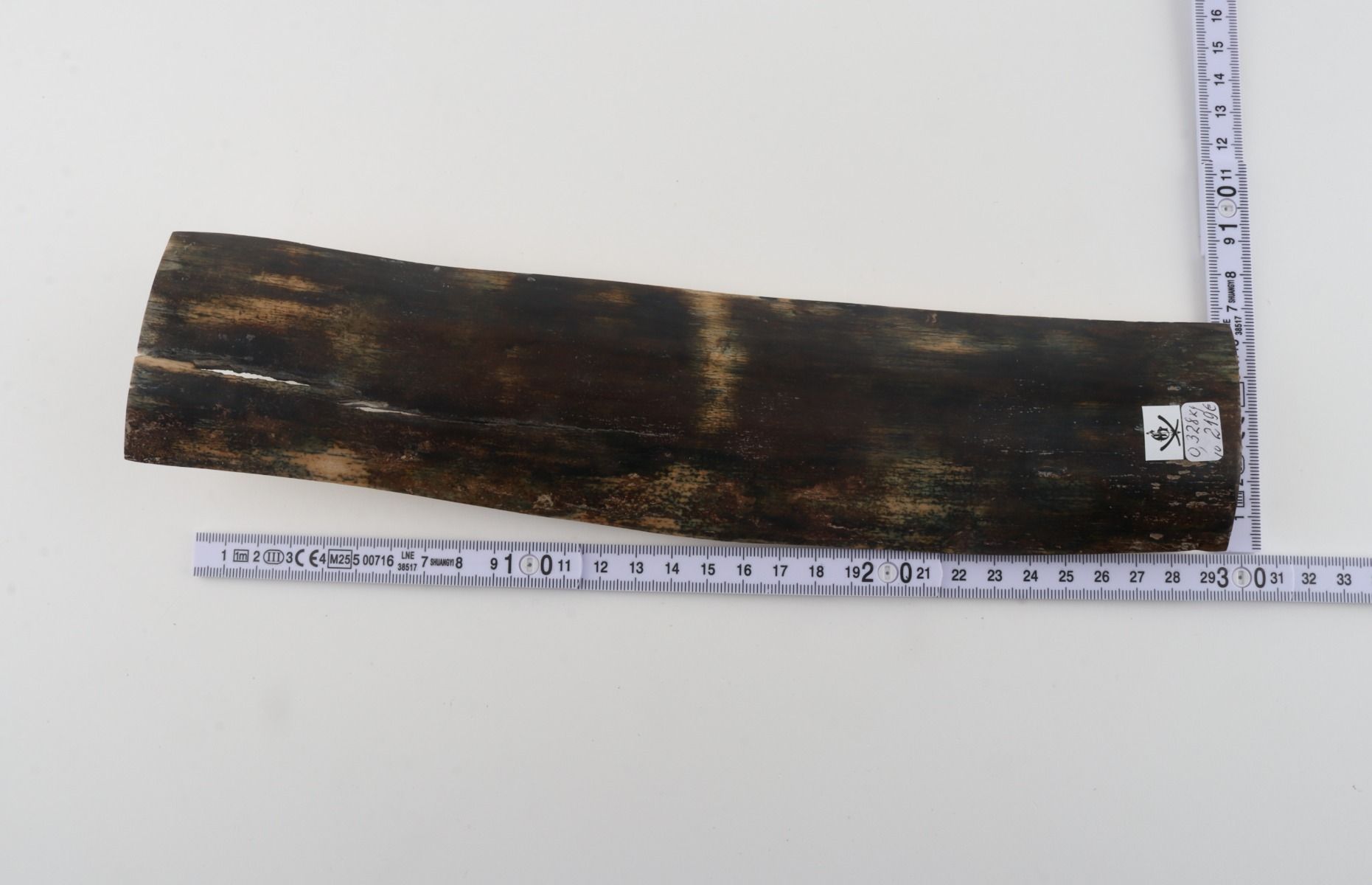 Brown-blue mammoth bark