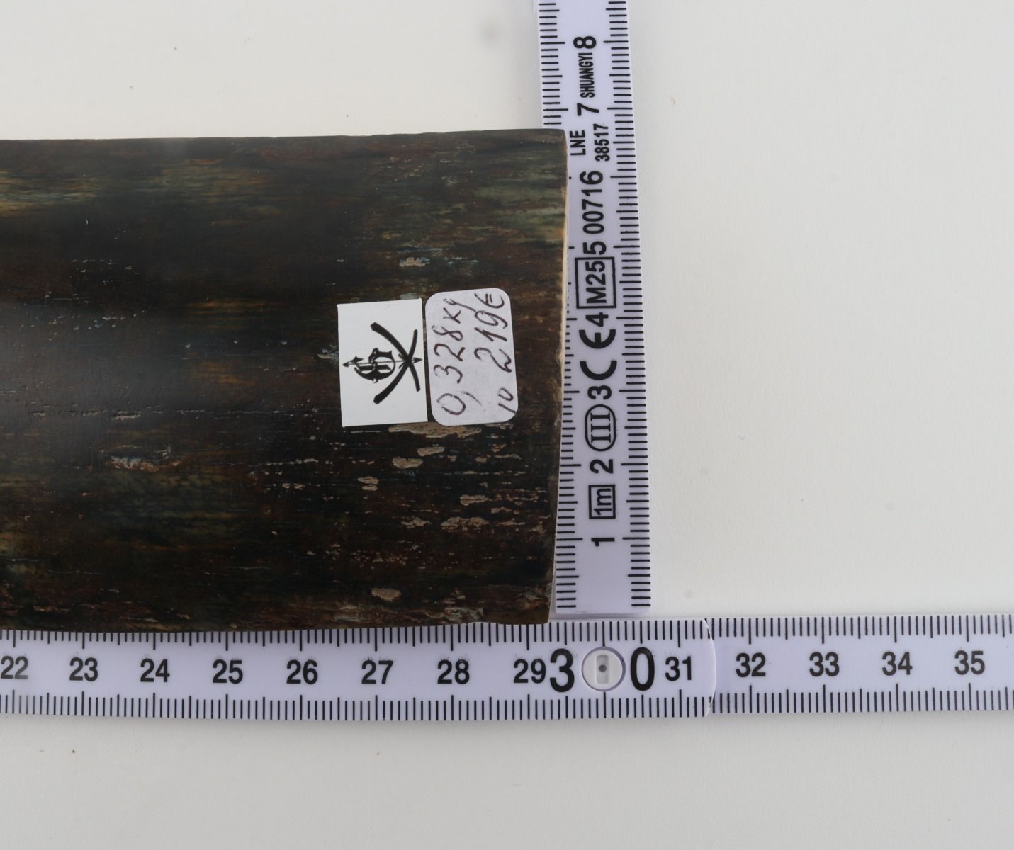 Brown-blue mammoth bark