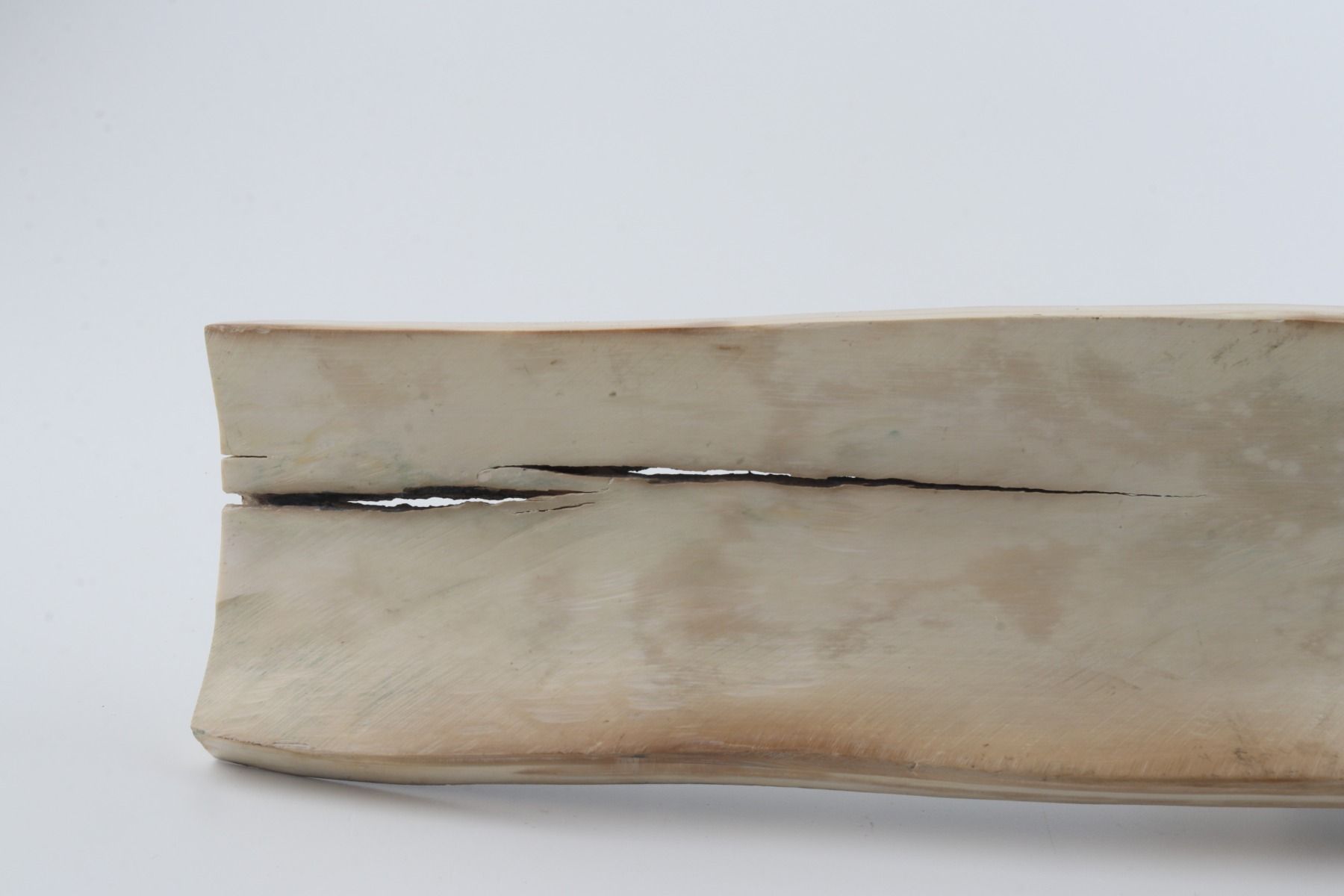 Brown-blue mammoth bark