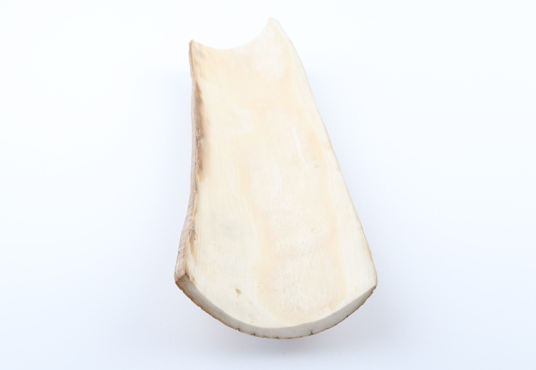 Beige-white mammoth bark