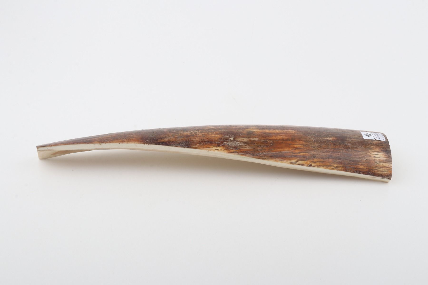 Brown-orange mammoth bark