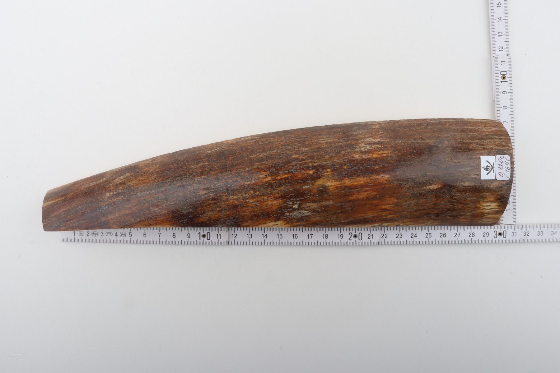 Brown-orange mammoth bark