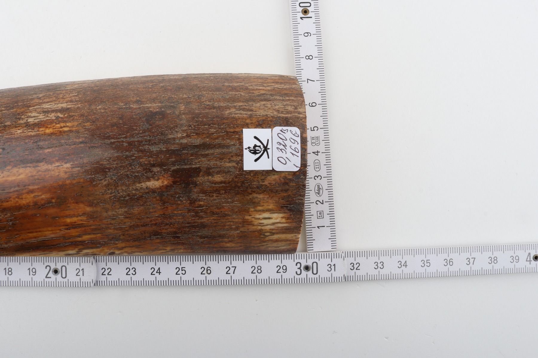 Brown-orange mammoth bark