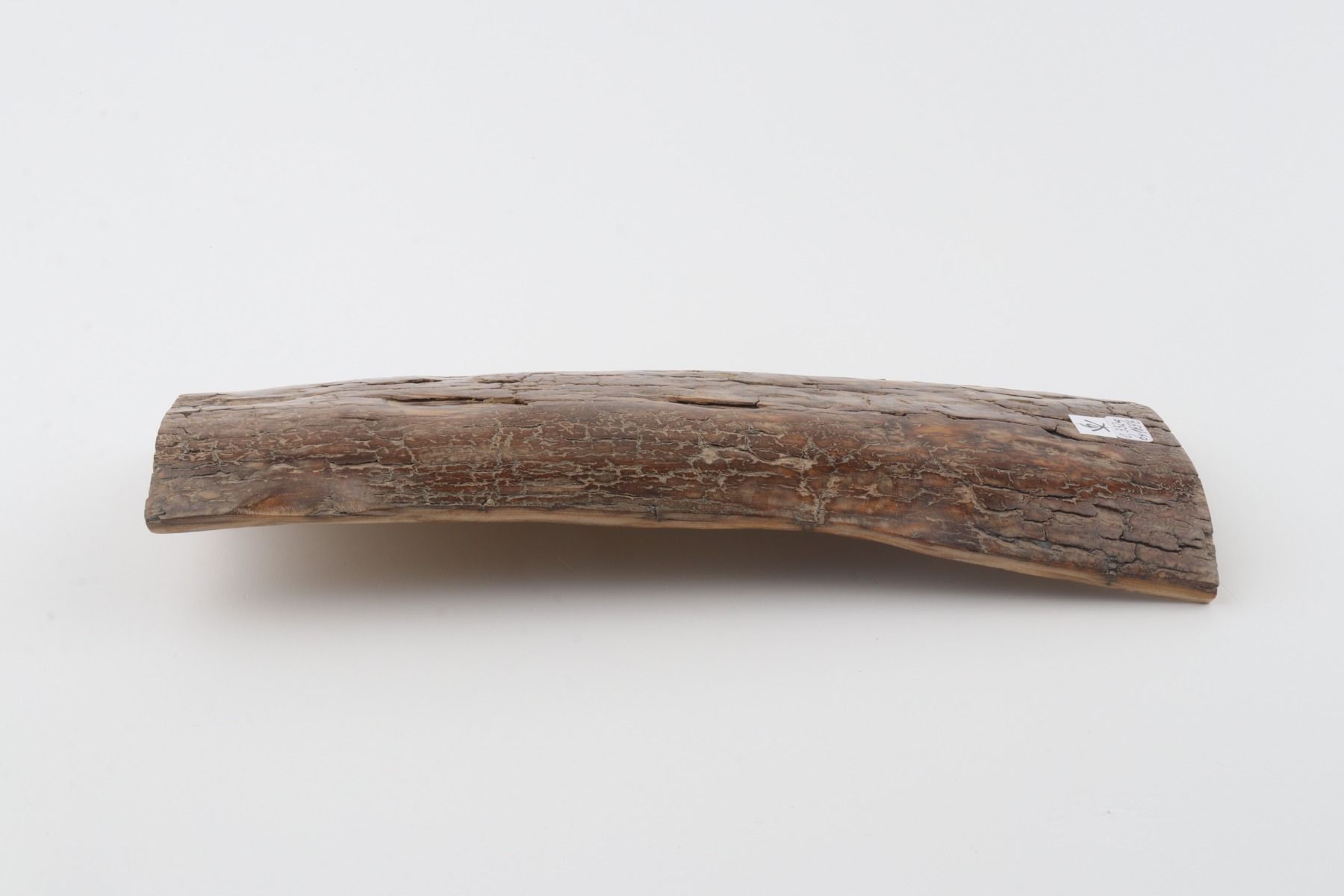 Brown mammoth bark