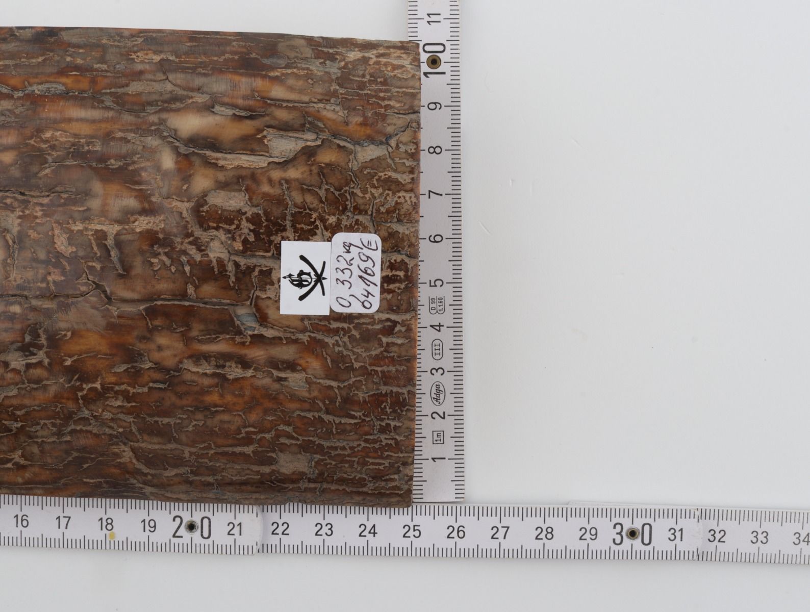 Brown mammoth bark