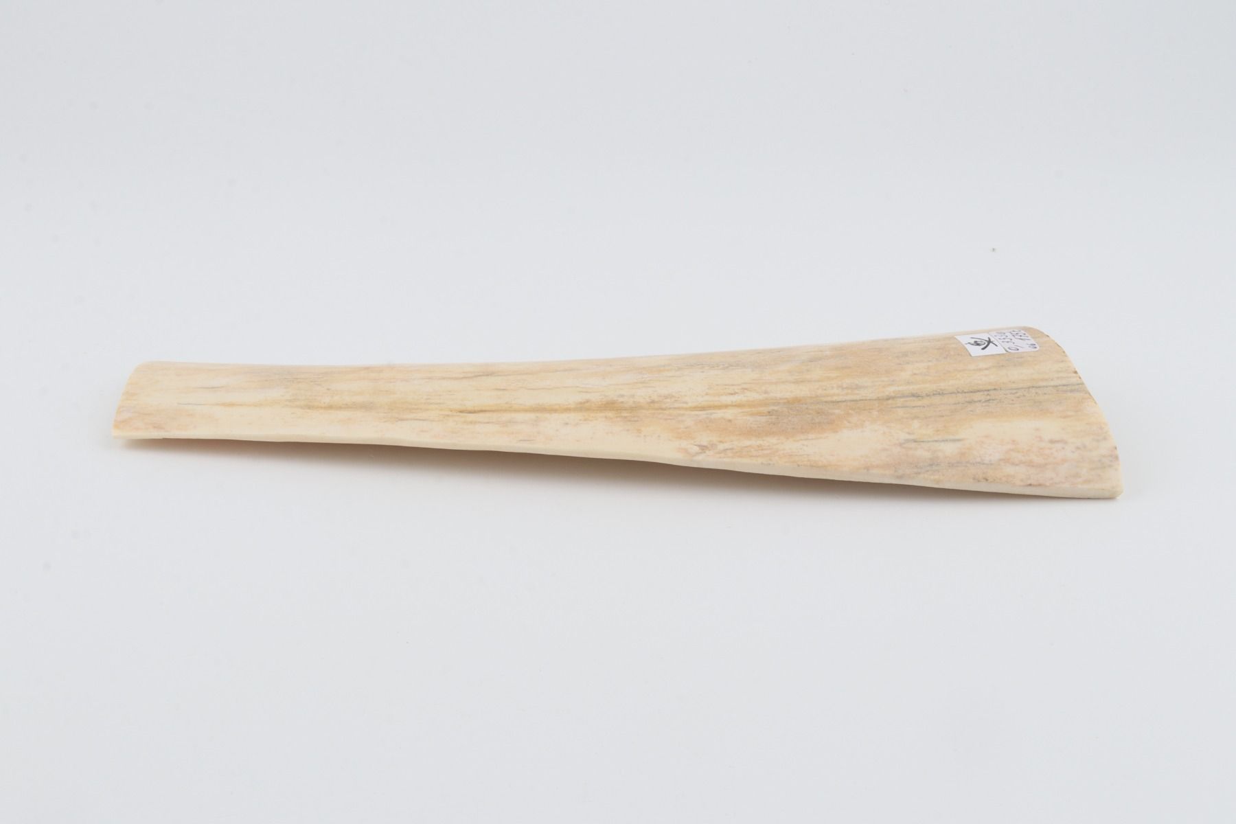 White-creme mammoth bark