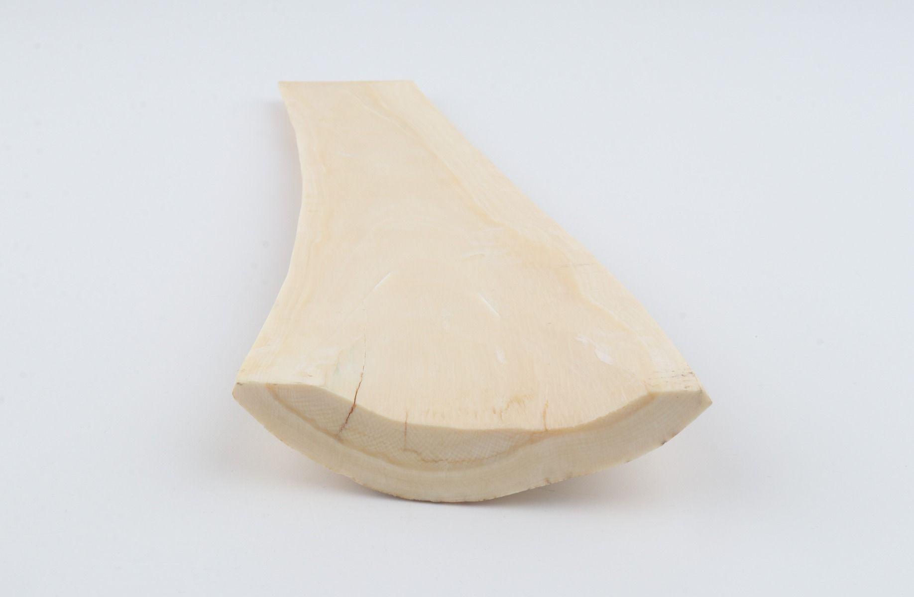White-creme mammoth bark