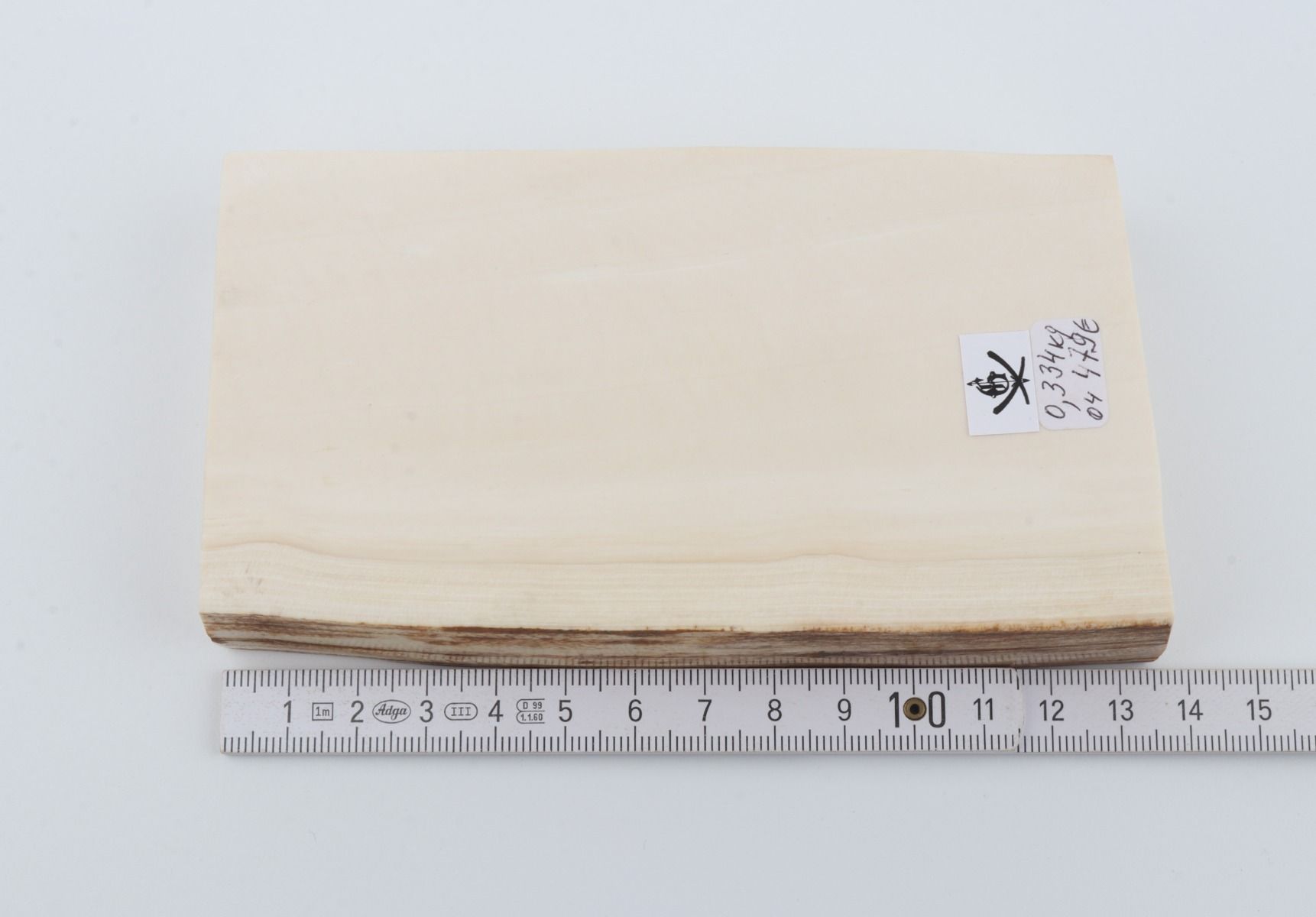 White mammoth ivory segment