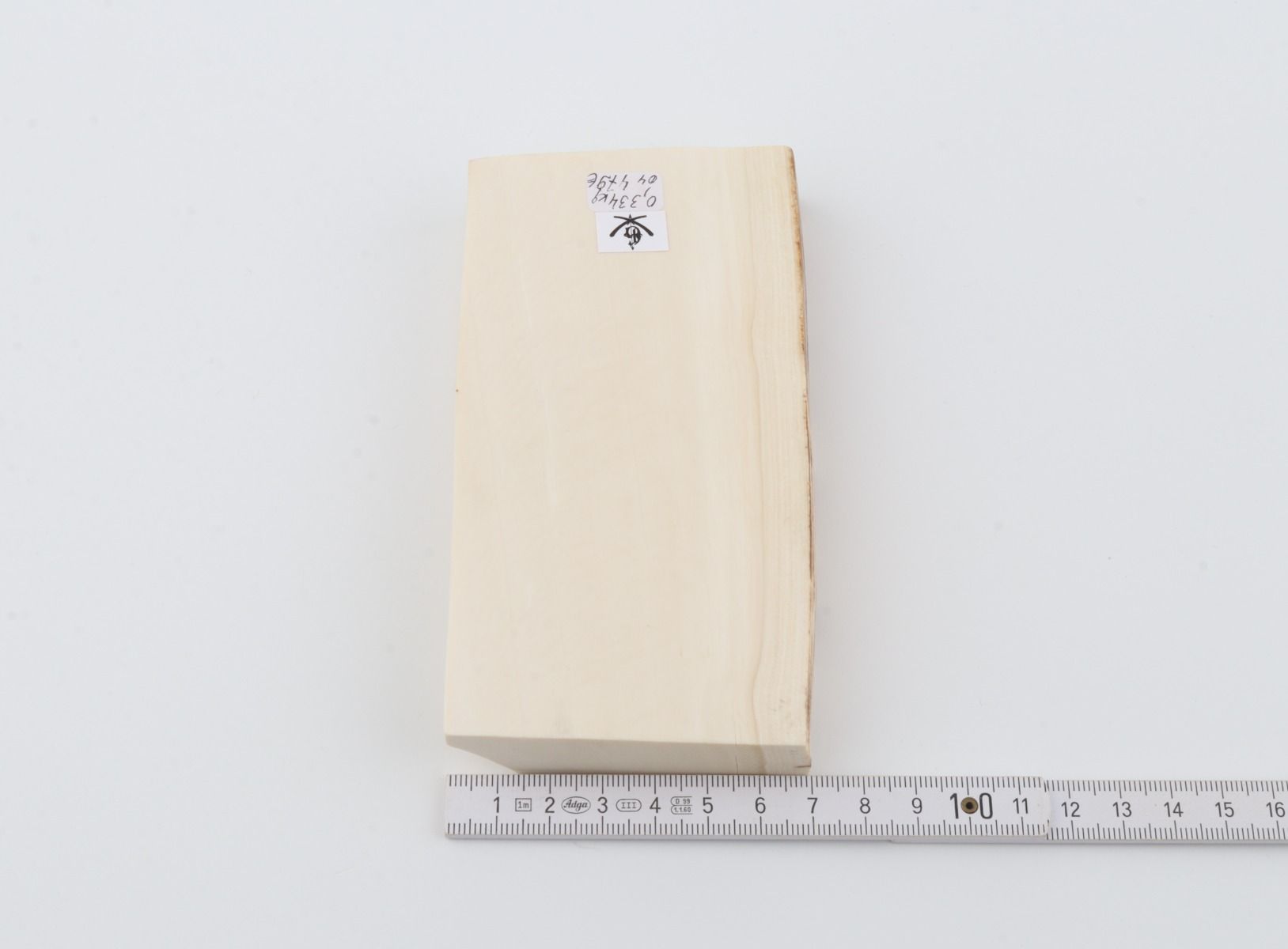 White mammoth ivory segment