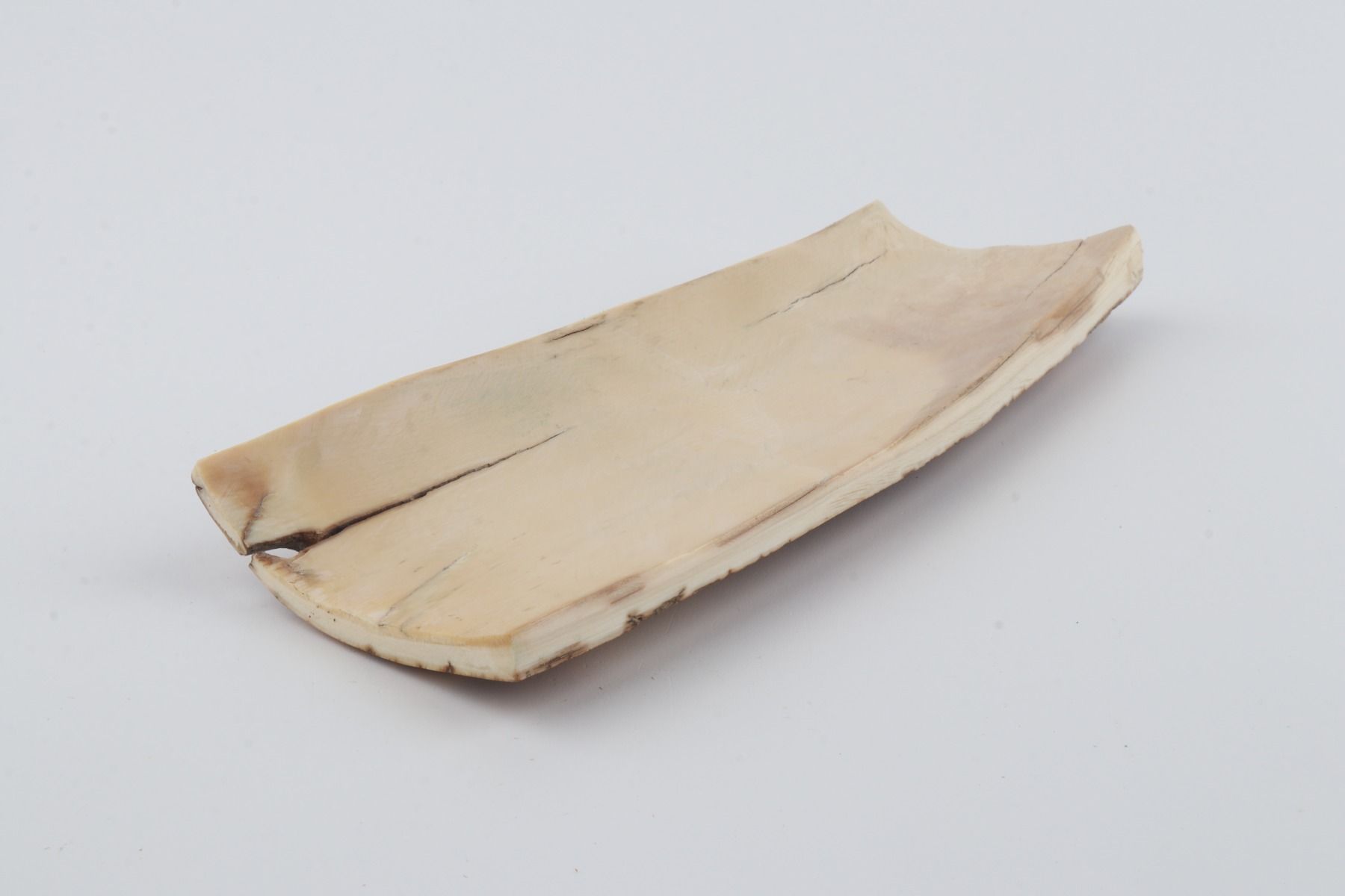 Orange-brown mammoth bark
