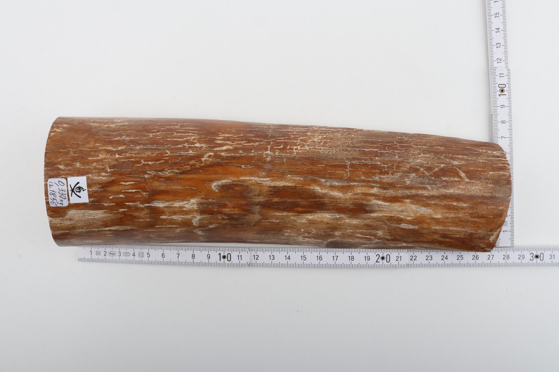 Caramel mammoth bark