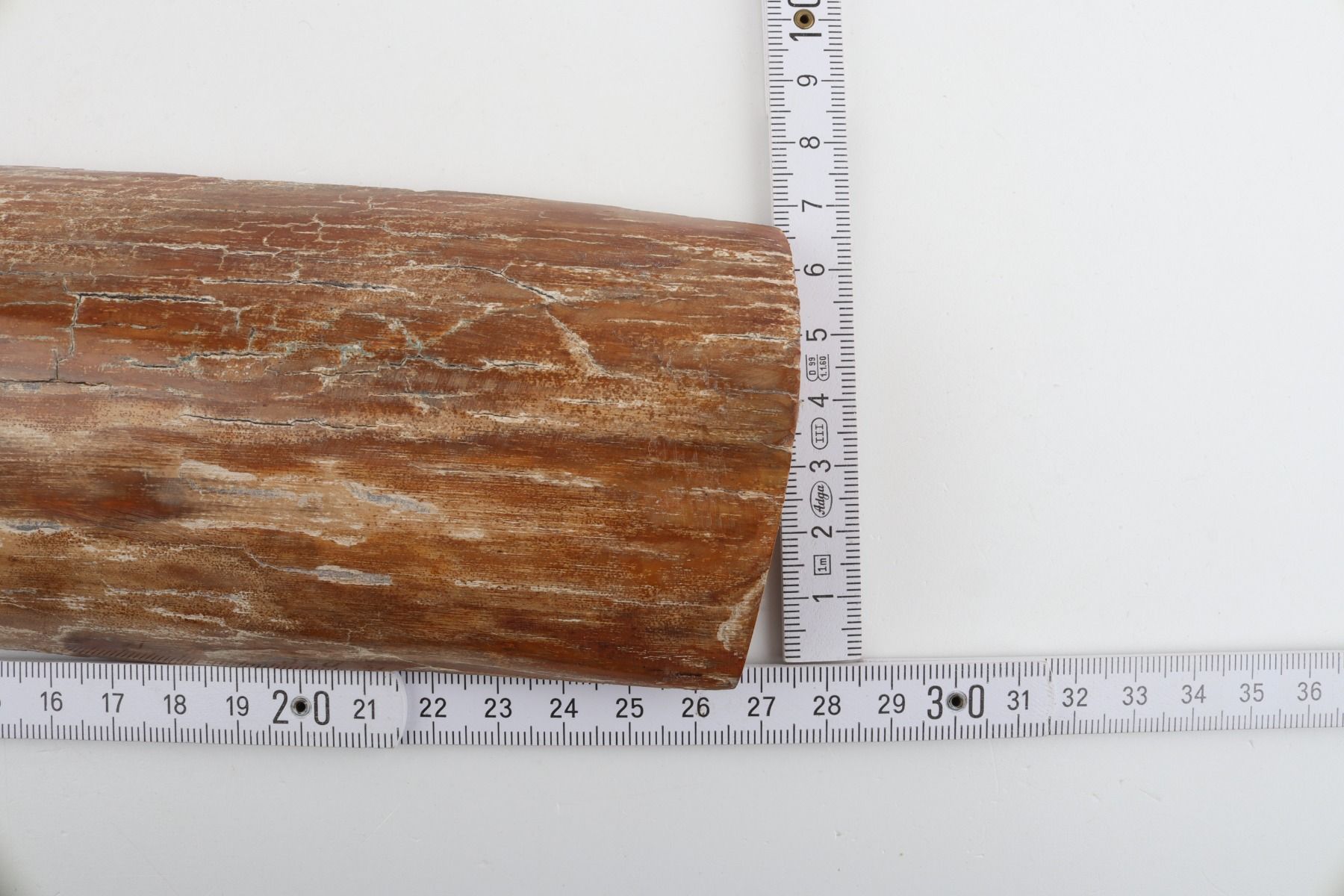Caramel mammoth bark