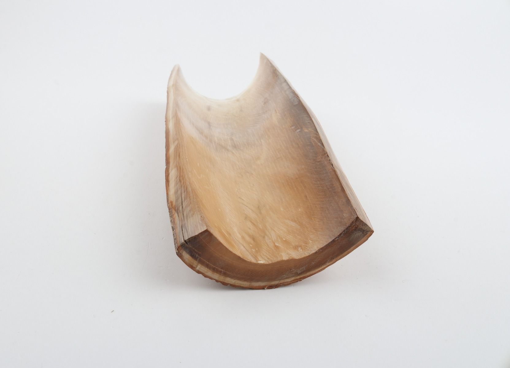 Caramel mammoth bark