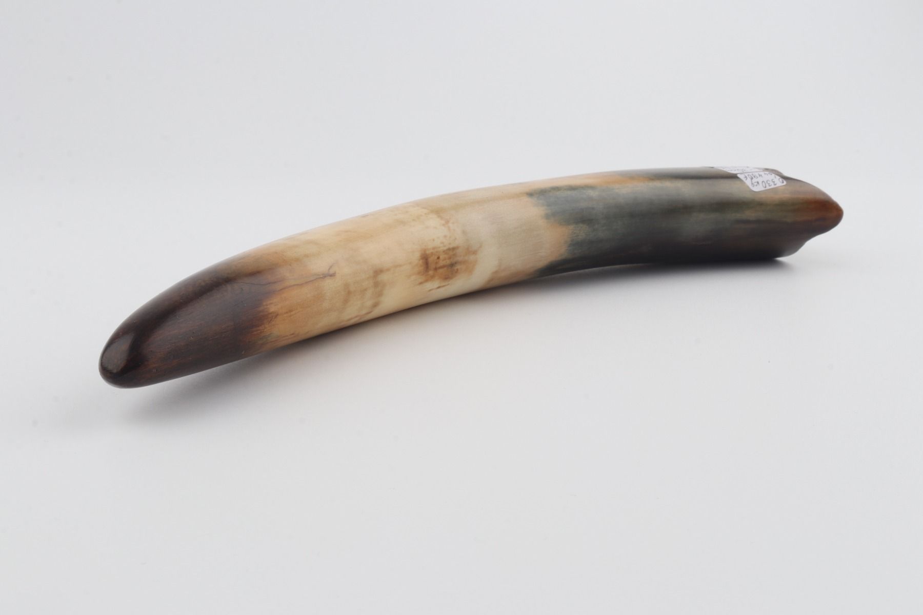 Restored woolly mammoth tusk