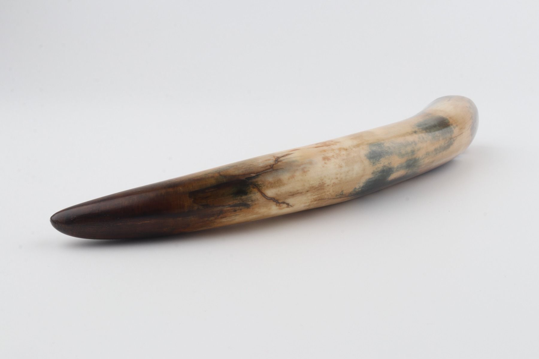 Restored woolly mammoth tusk