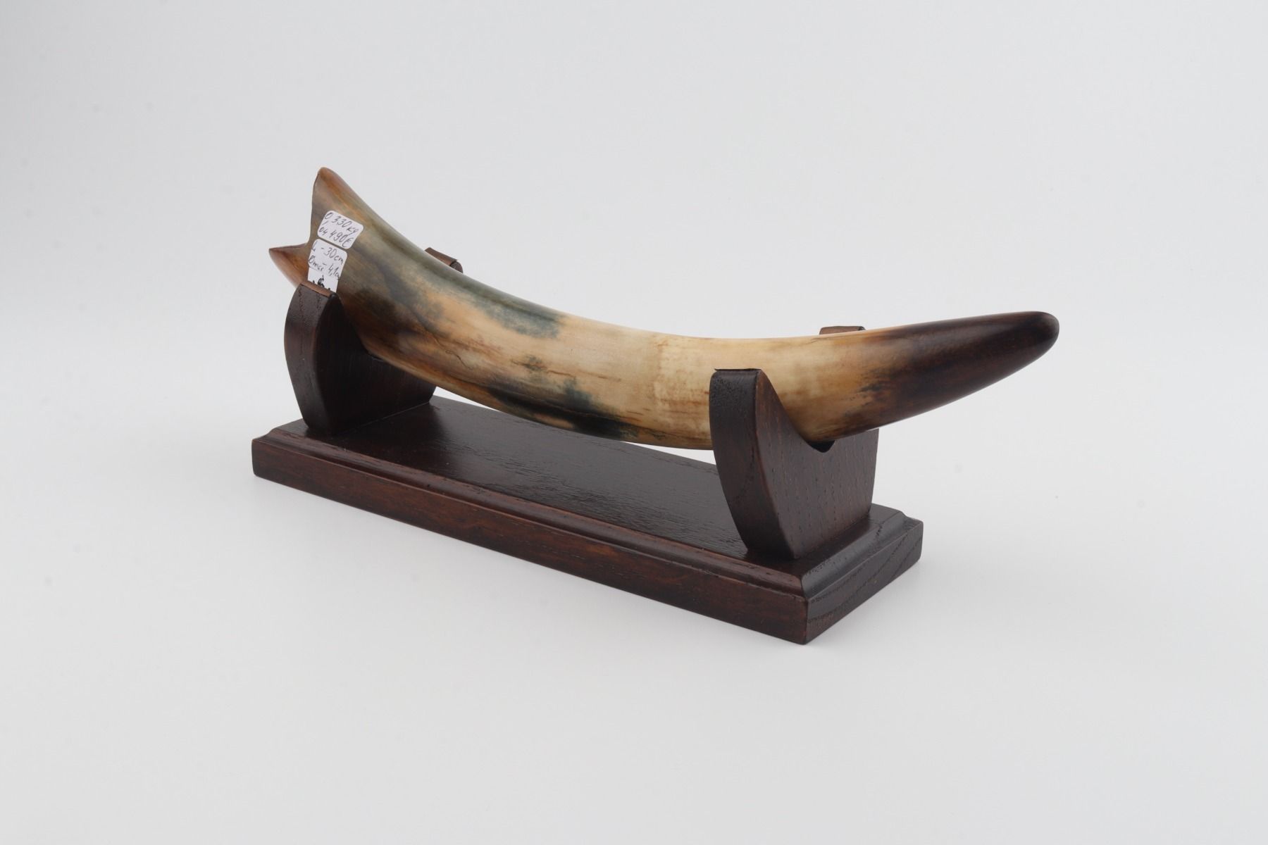 Restored woolly mammoth tusk