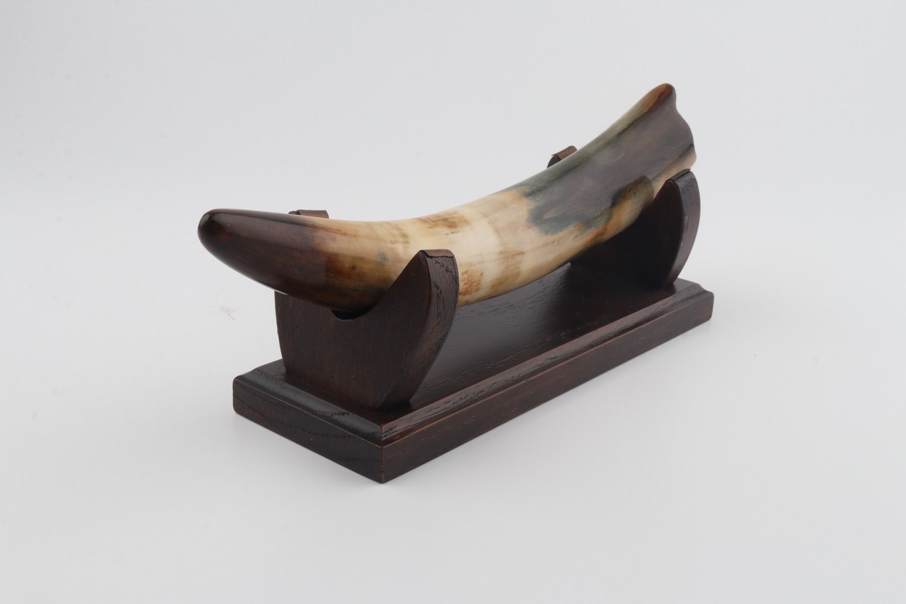 Restored woolly mammoth tusk