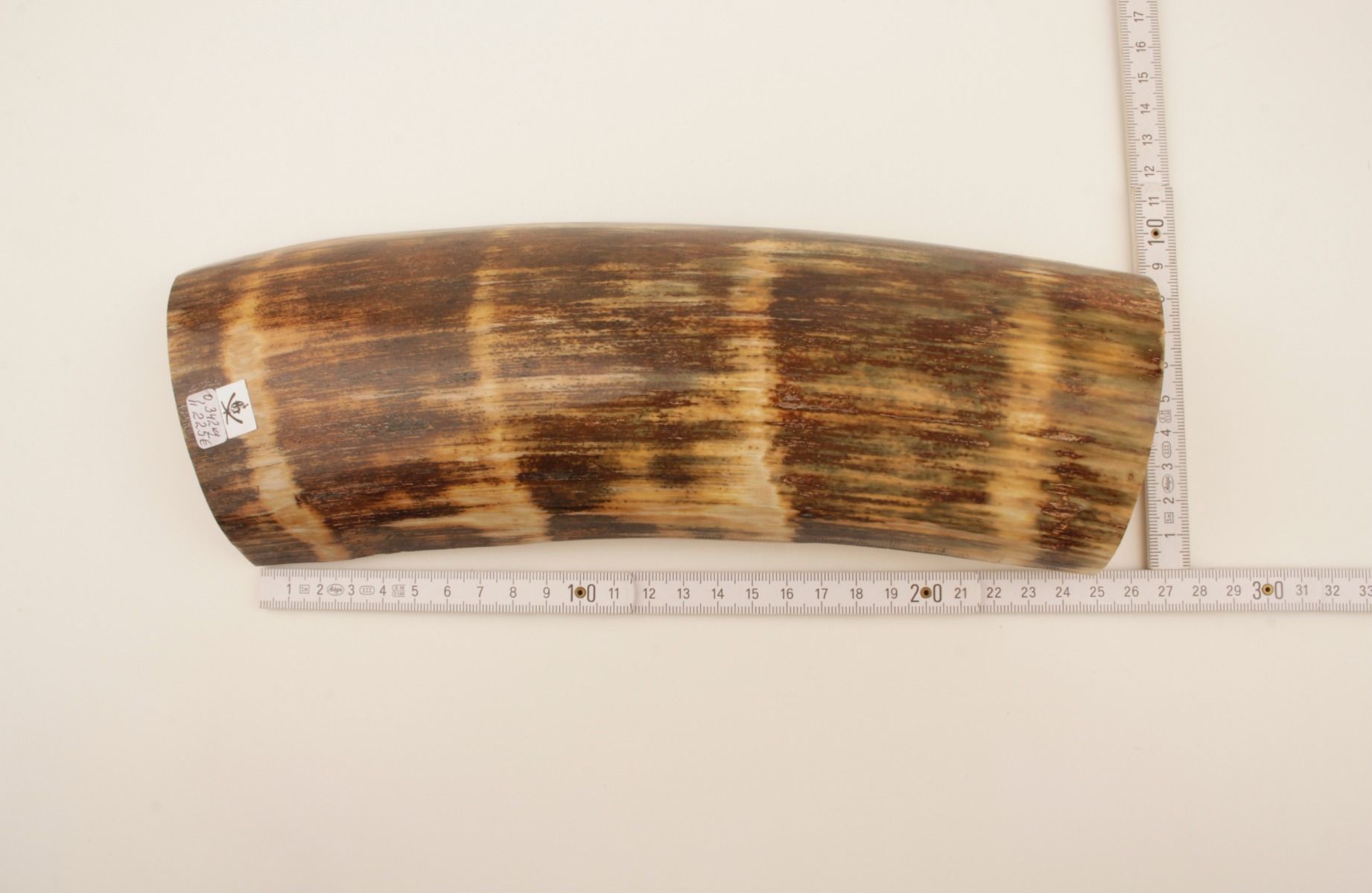 Brown-green mammoth bark