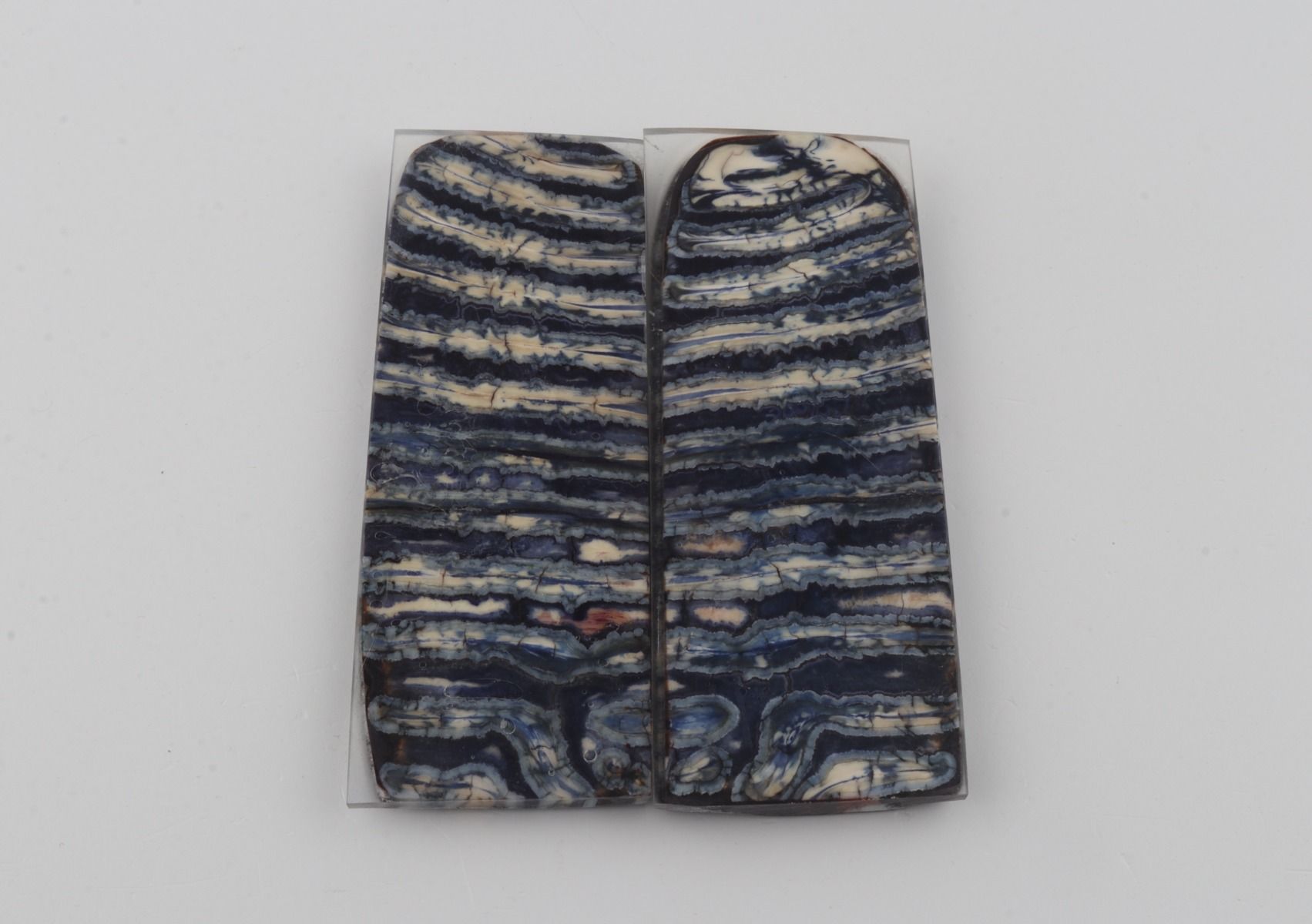 Stabilised mammoth molar scales