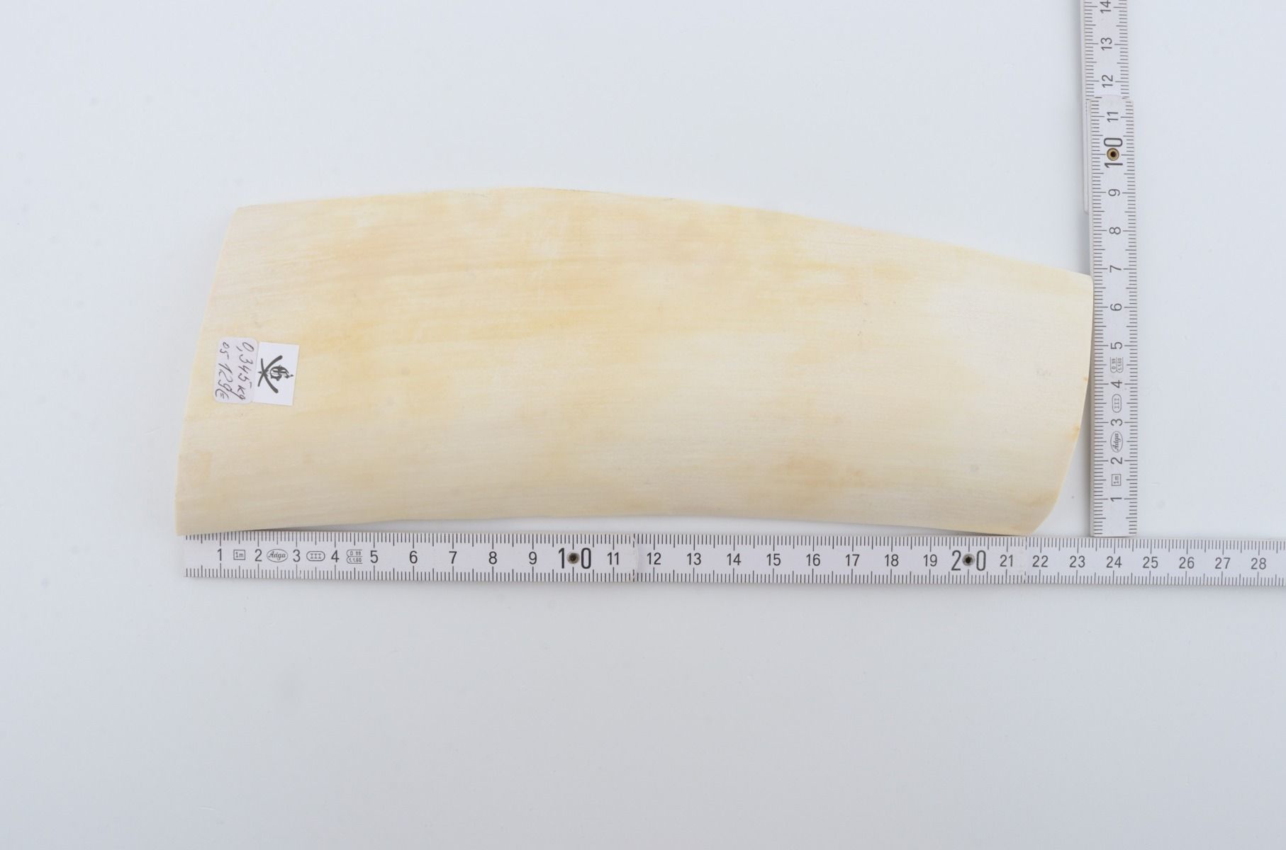 White mammoth ivory piece