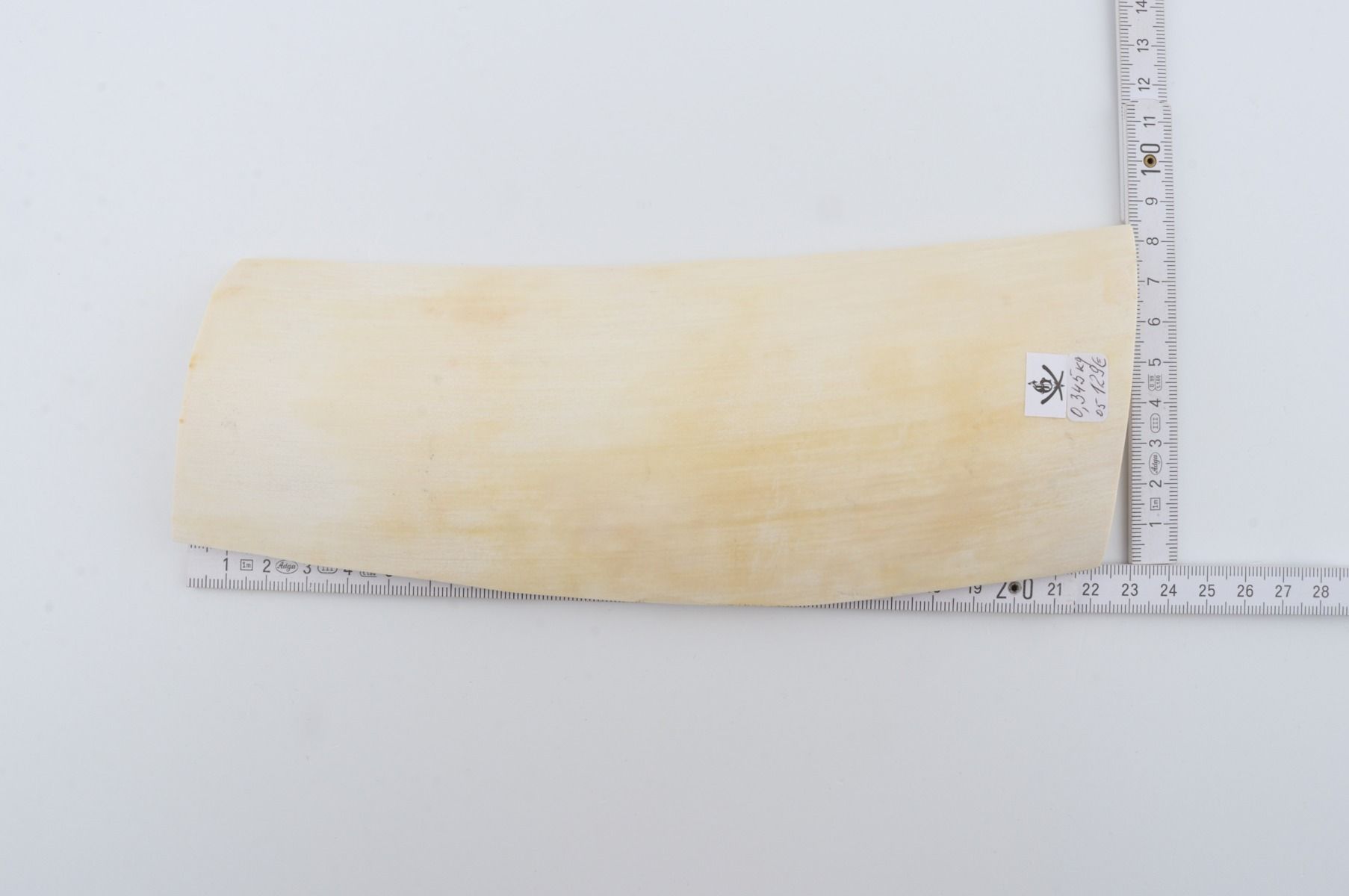 White mammoth ivory piece