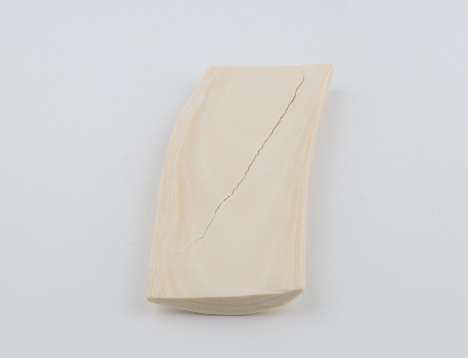 White mammoth ivory piece