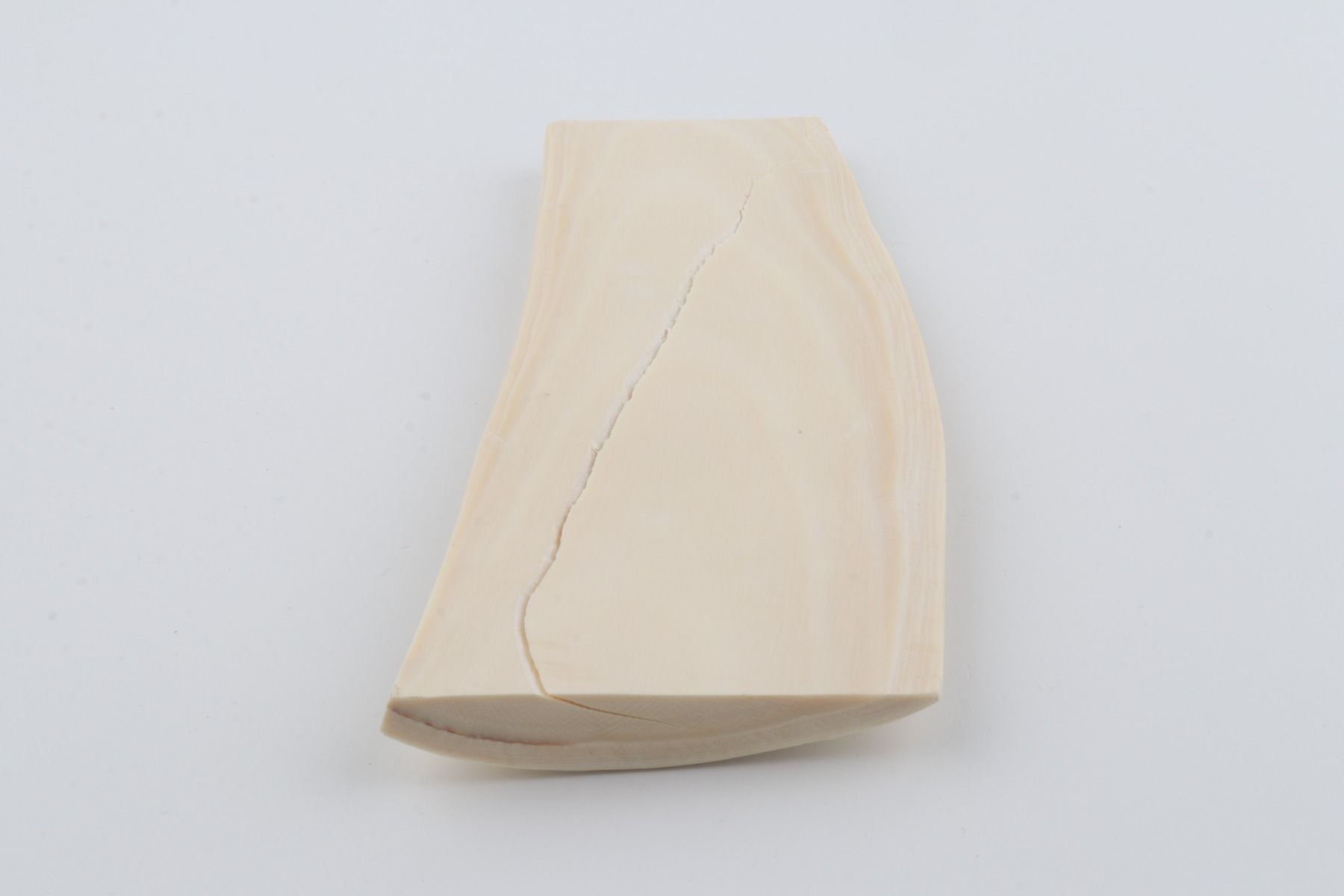 White mammoth ivory piece