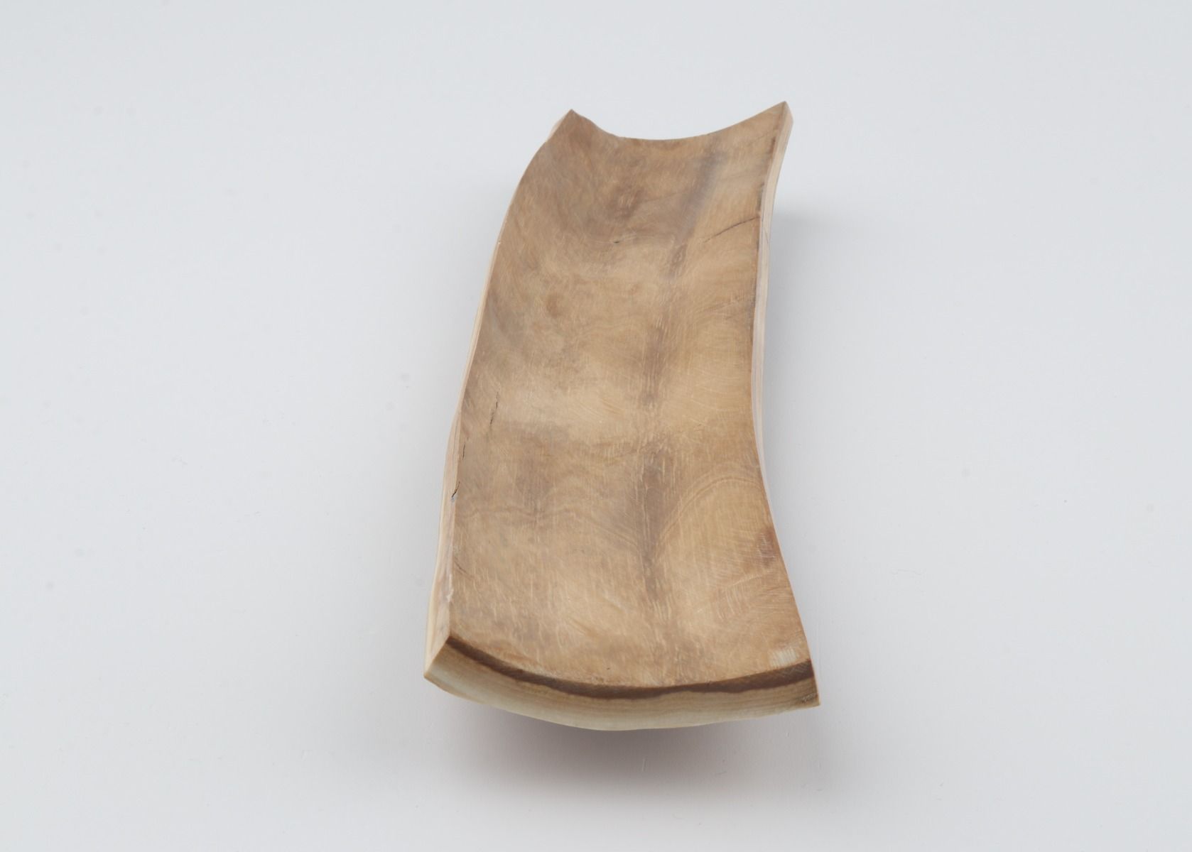 Brown mammoth bark