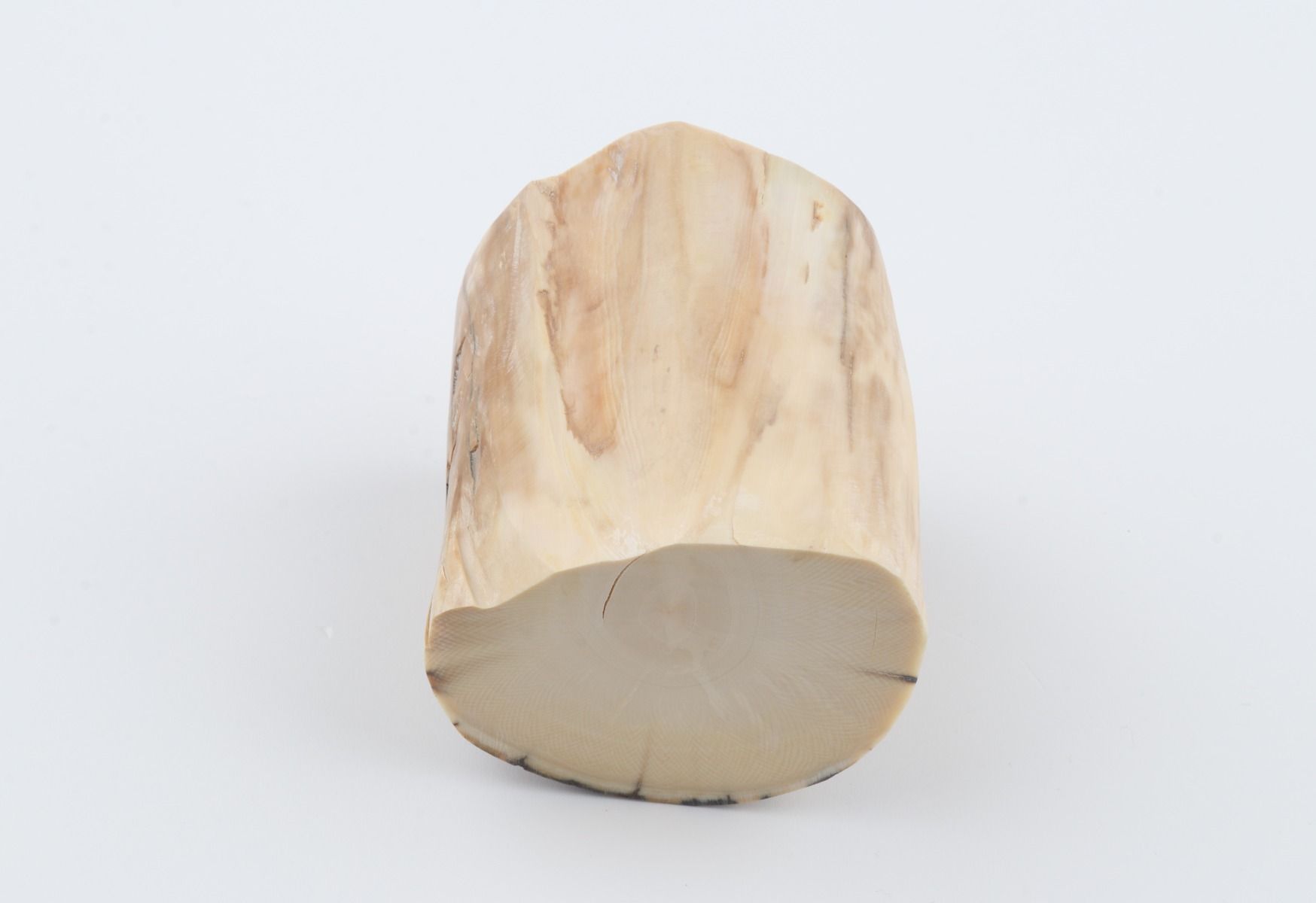 Natural mammoth ivory piece