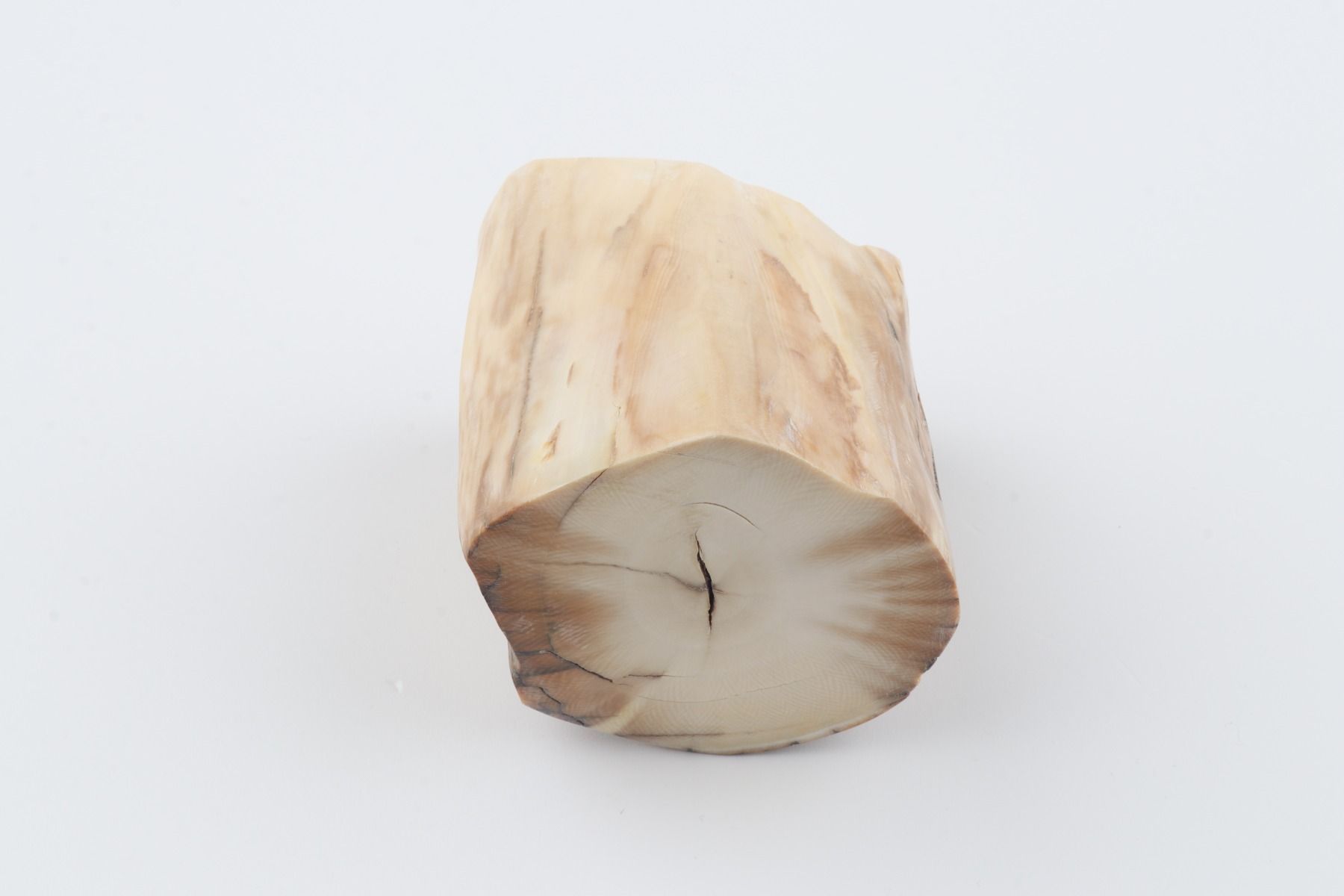 Natural mammoth ivory piece