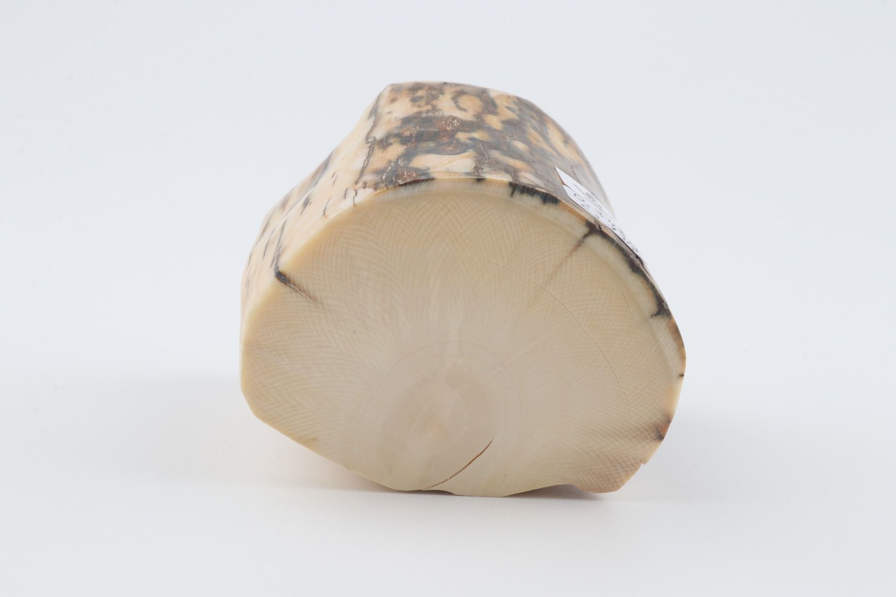 Natural mammoth ivory piece
